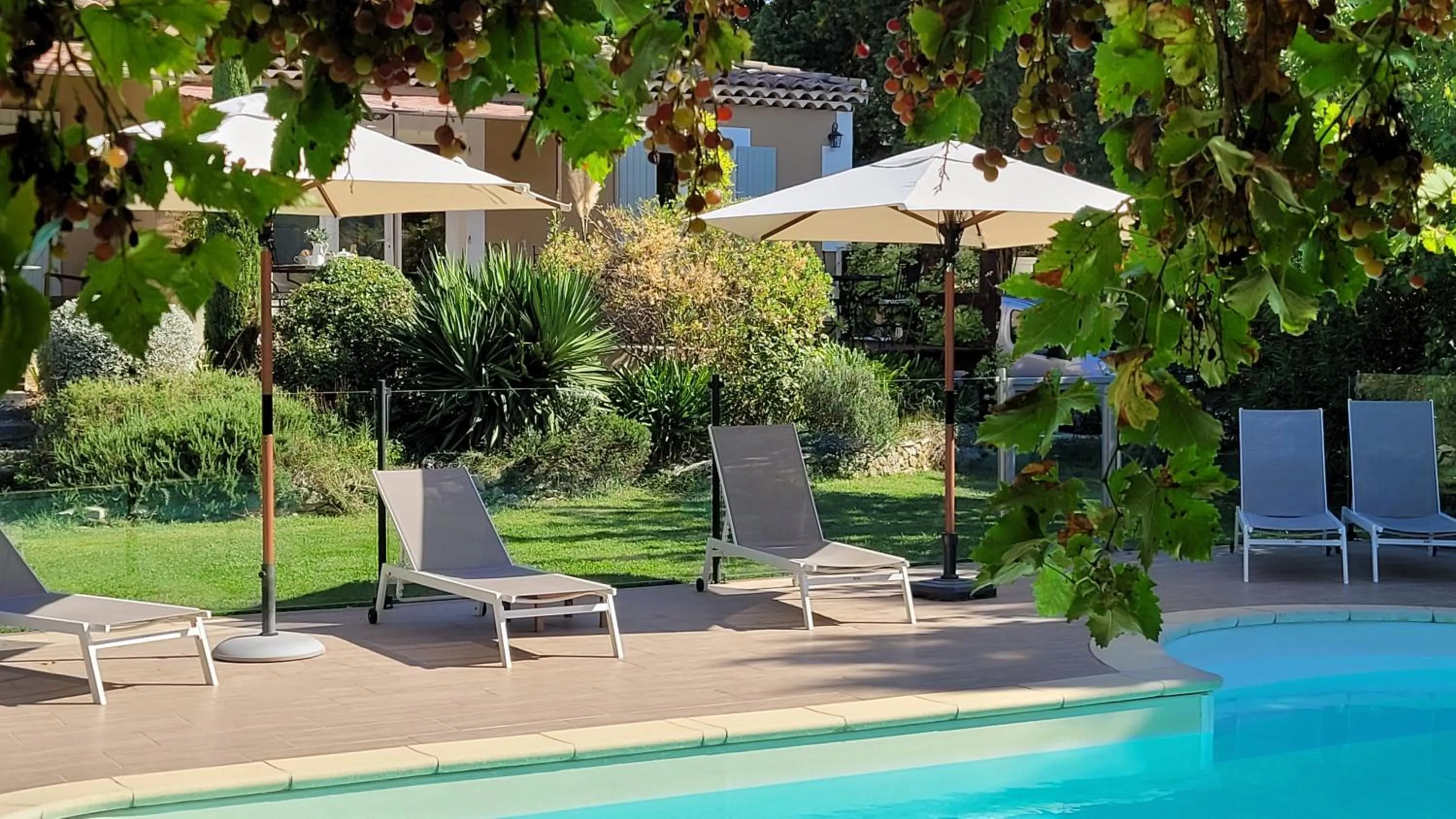 Swimming pool in Mas des Marguerites