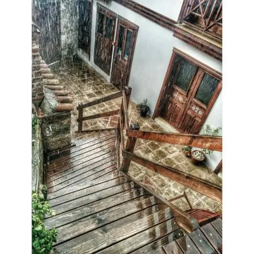 Other in Amazon Petite Palace