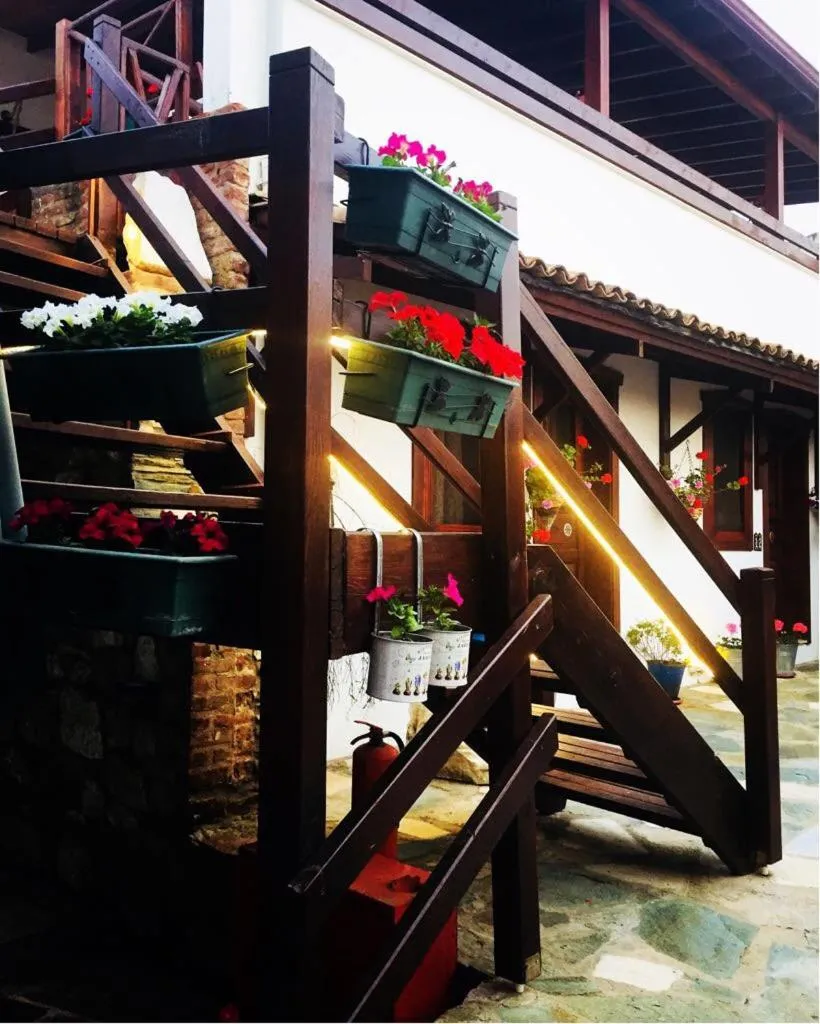 Amazon Petite Palace