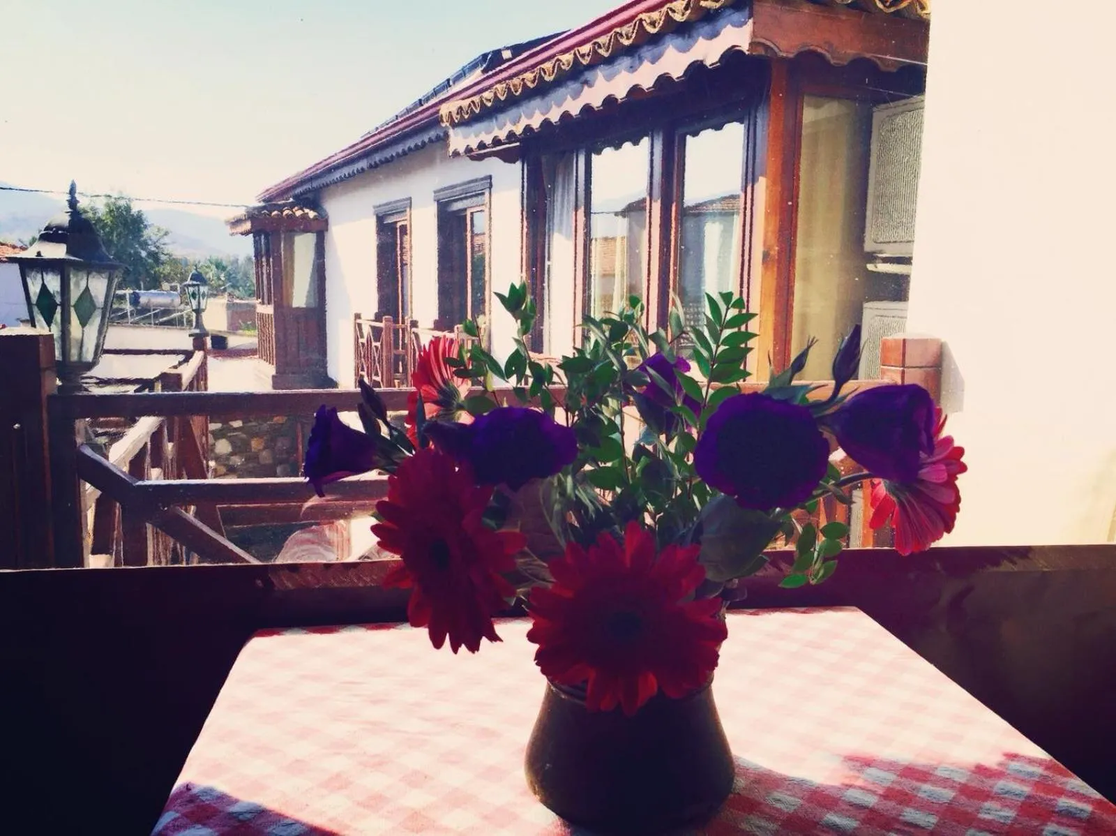 Amazon Petite Palace