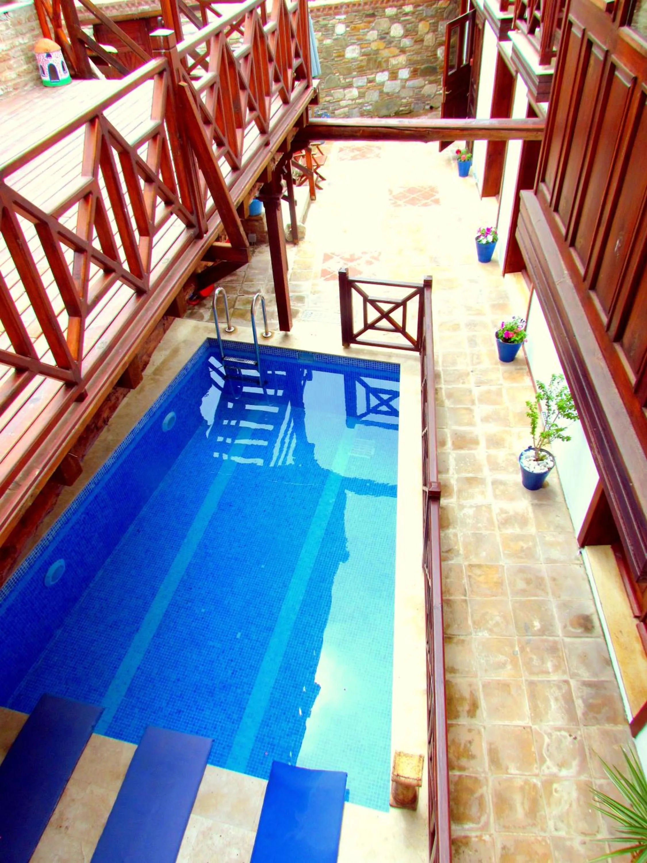 Day in Amazon Petite Palace