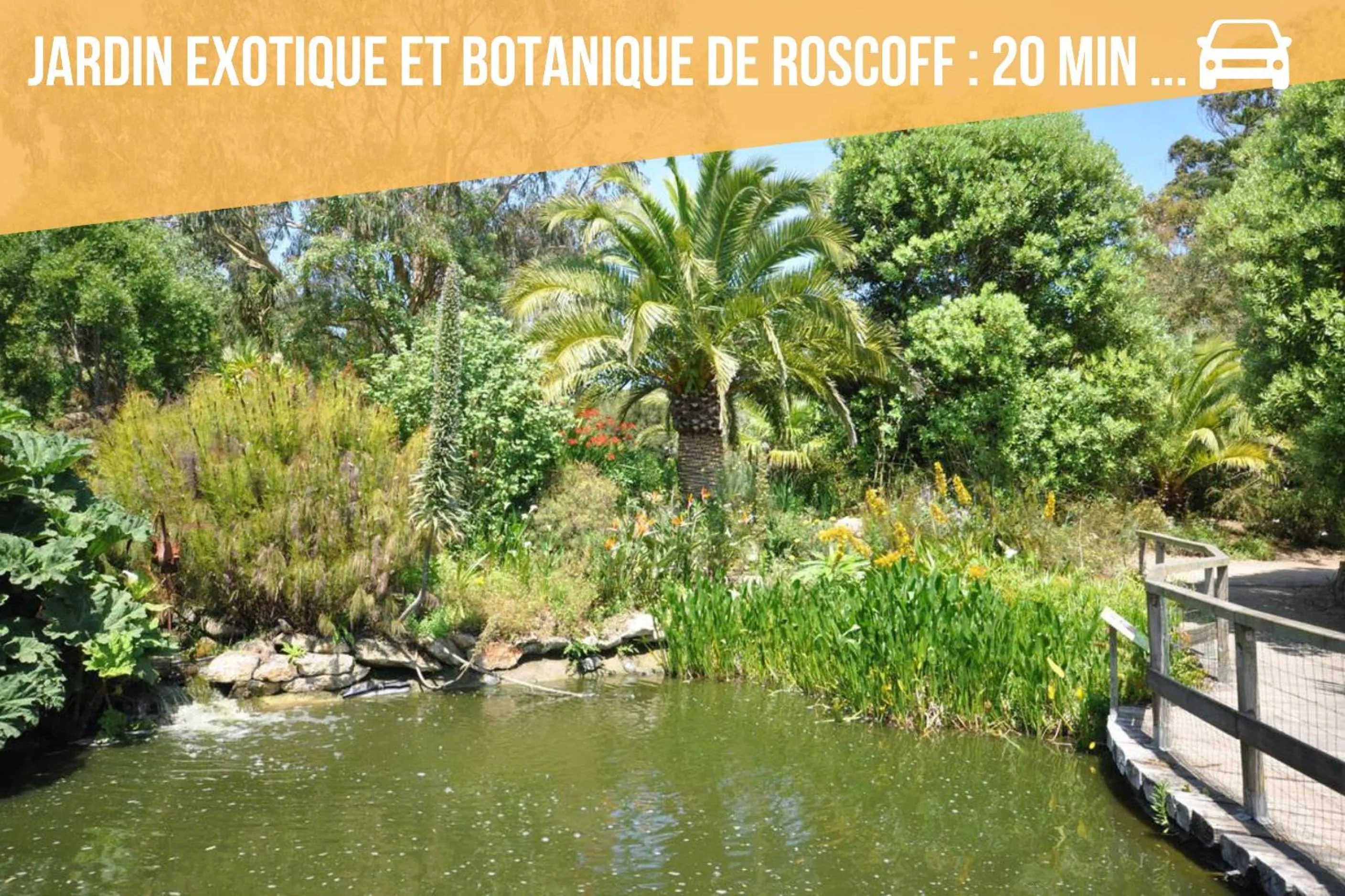 Activities in Le Loft du Dolmen Clara, entre terre et mer