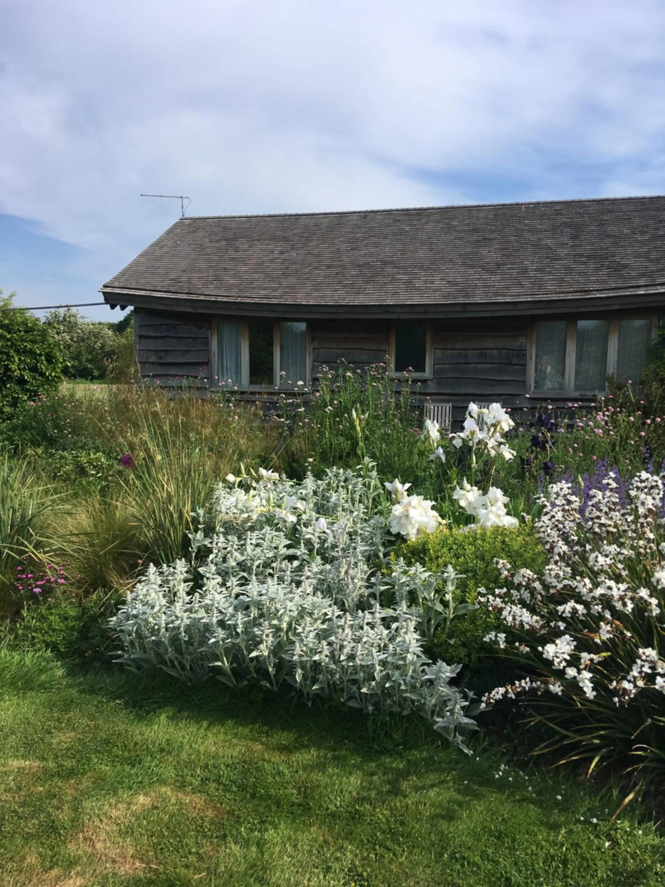 Property building in Three Oaks Nursery