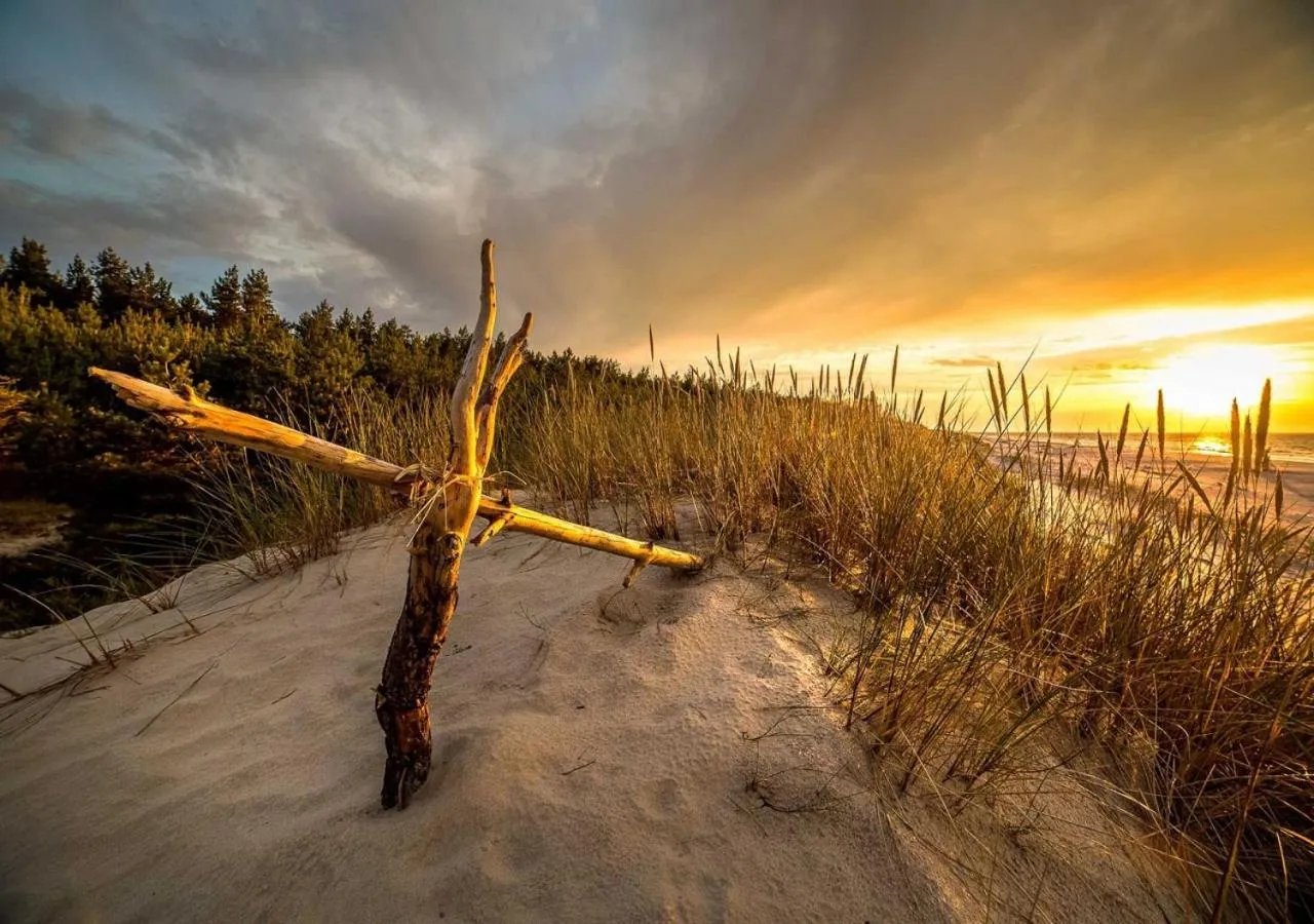 Natural landscape in Hôtel Côté Sable