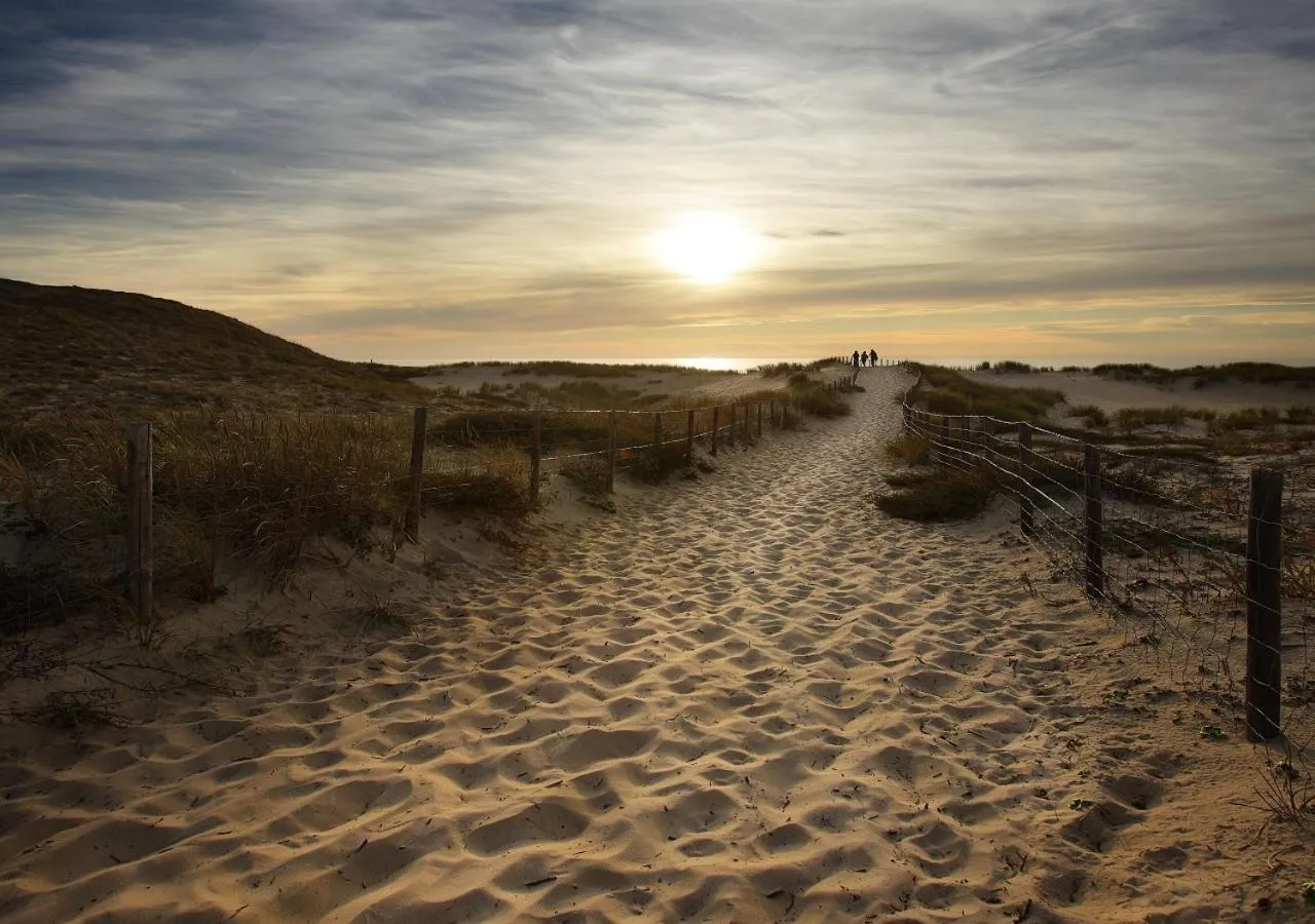 Natural landscape in Hôtel Côté Sable