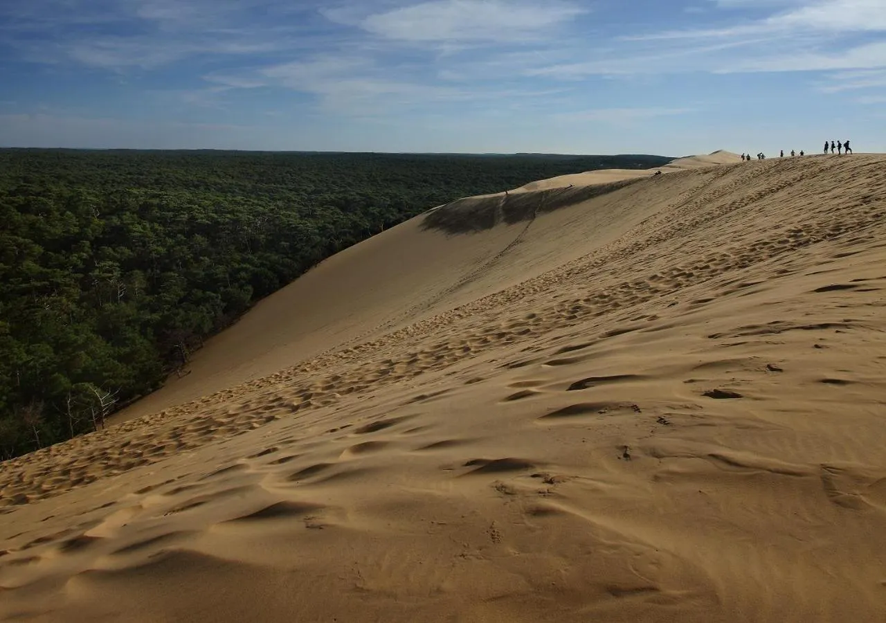 Natural landscape in Hôtel Côté Sable