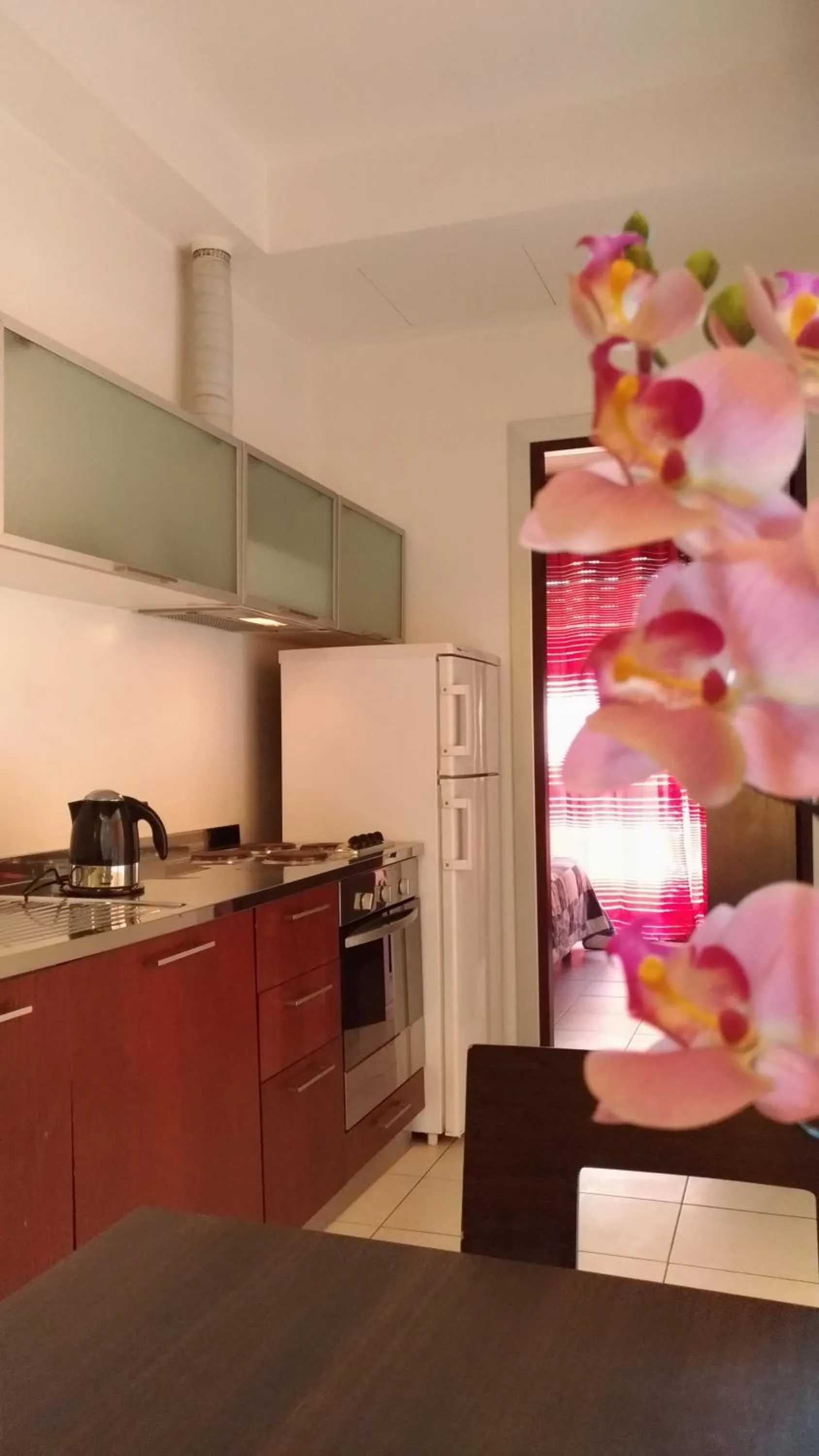 Other in Residence Domus