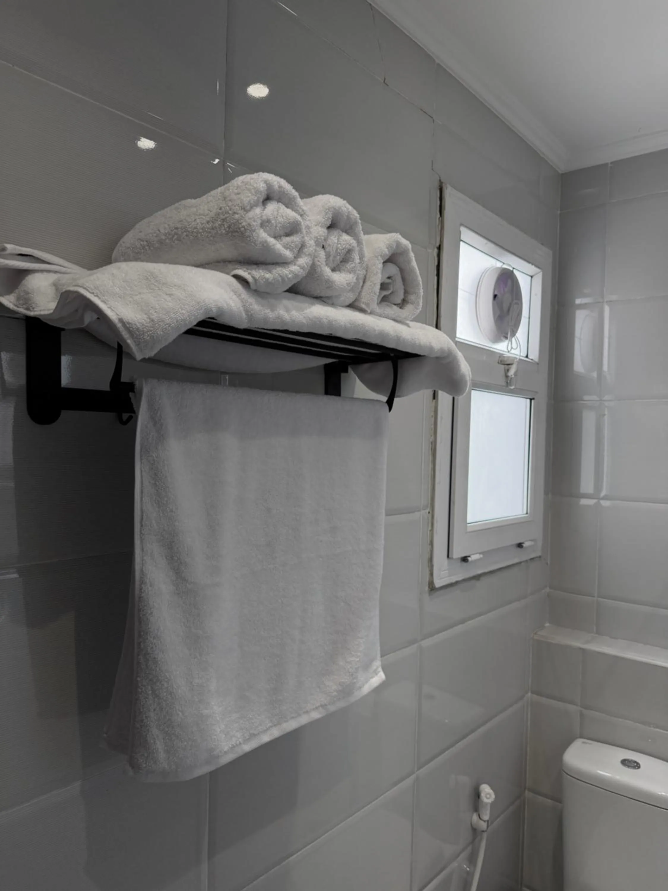 Eco green pyramids hotel