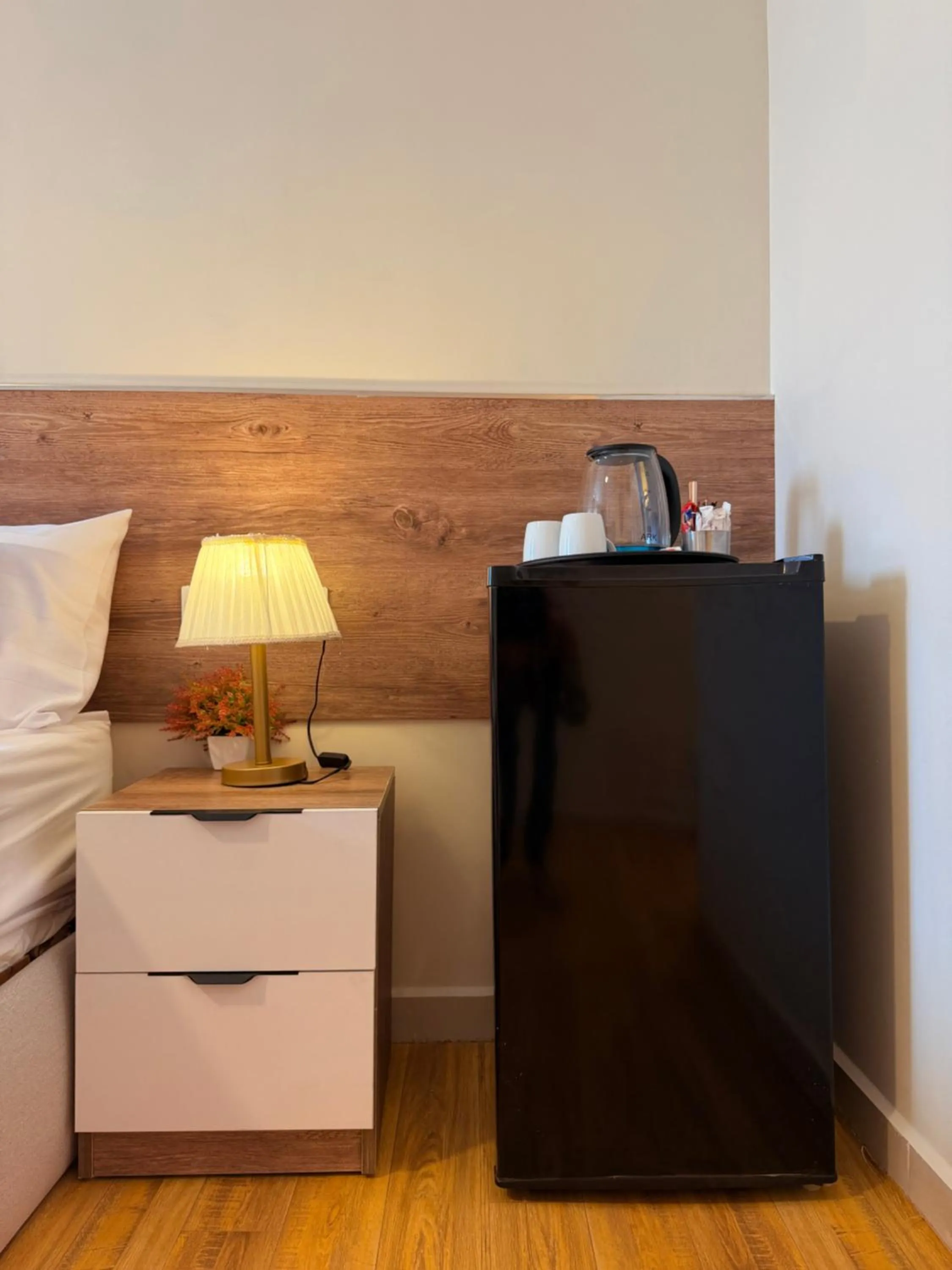 Eco green pyramids hotel