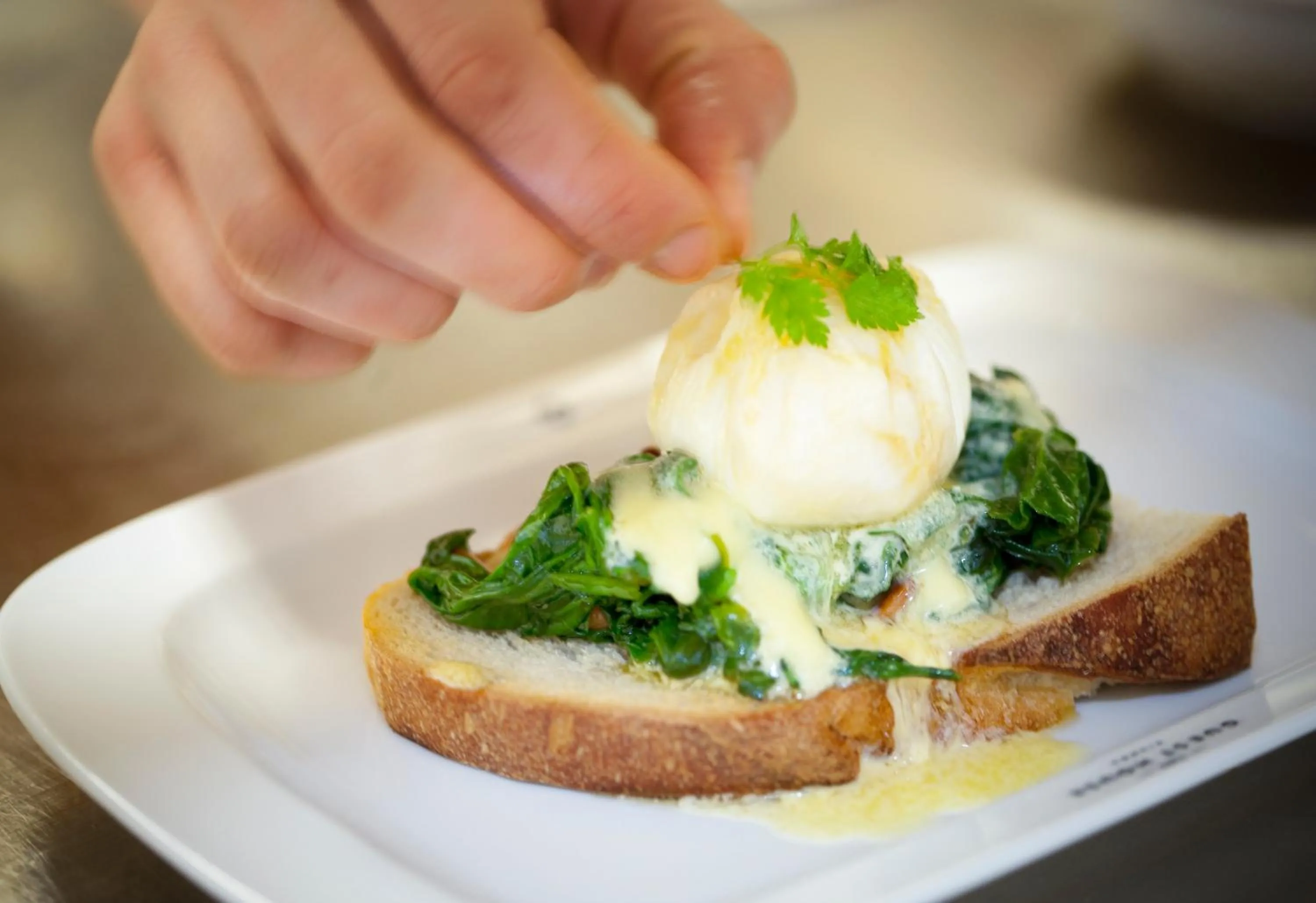 Breakfast in The Guesthouse Vienna