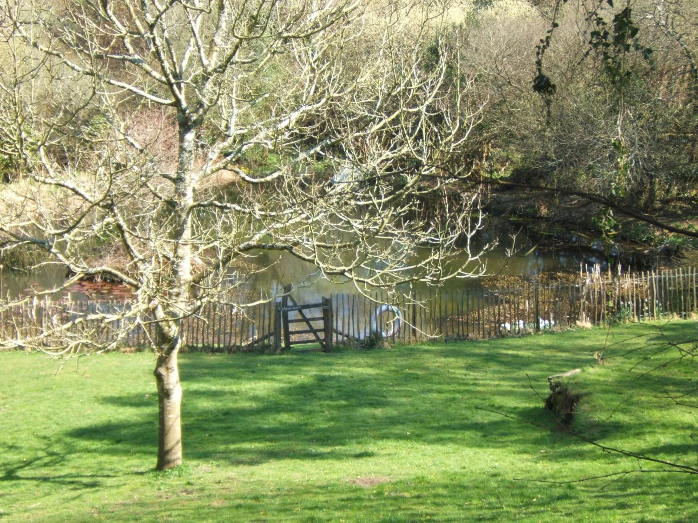 Natural landscape in Trengilly Wartha Inn