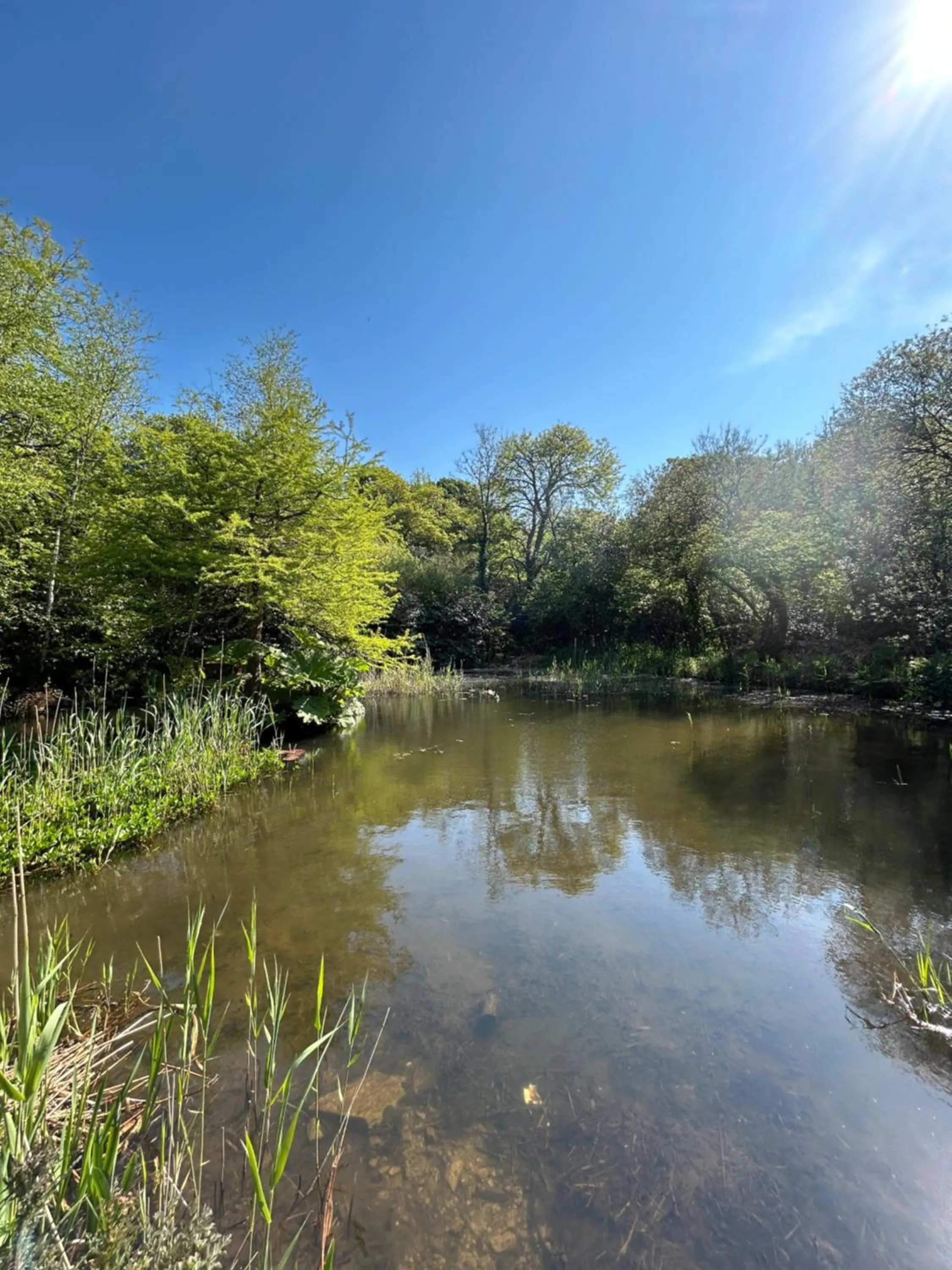 Spring in Trengilly Wartha Inn