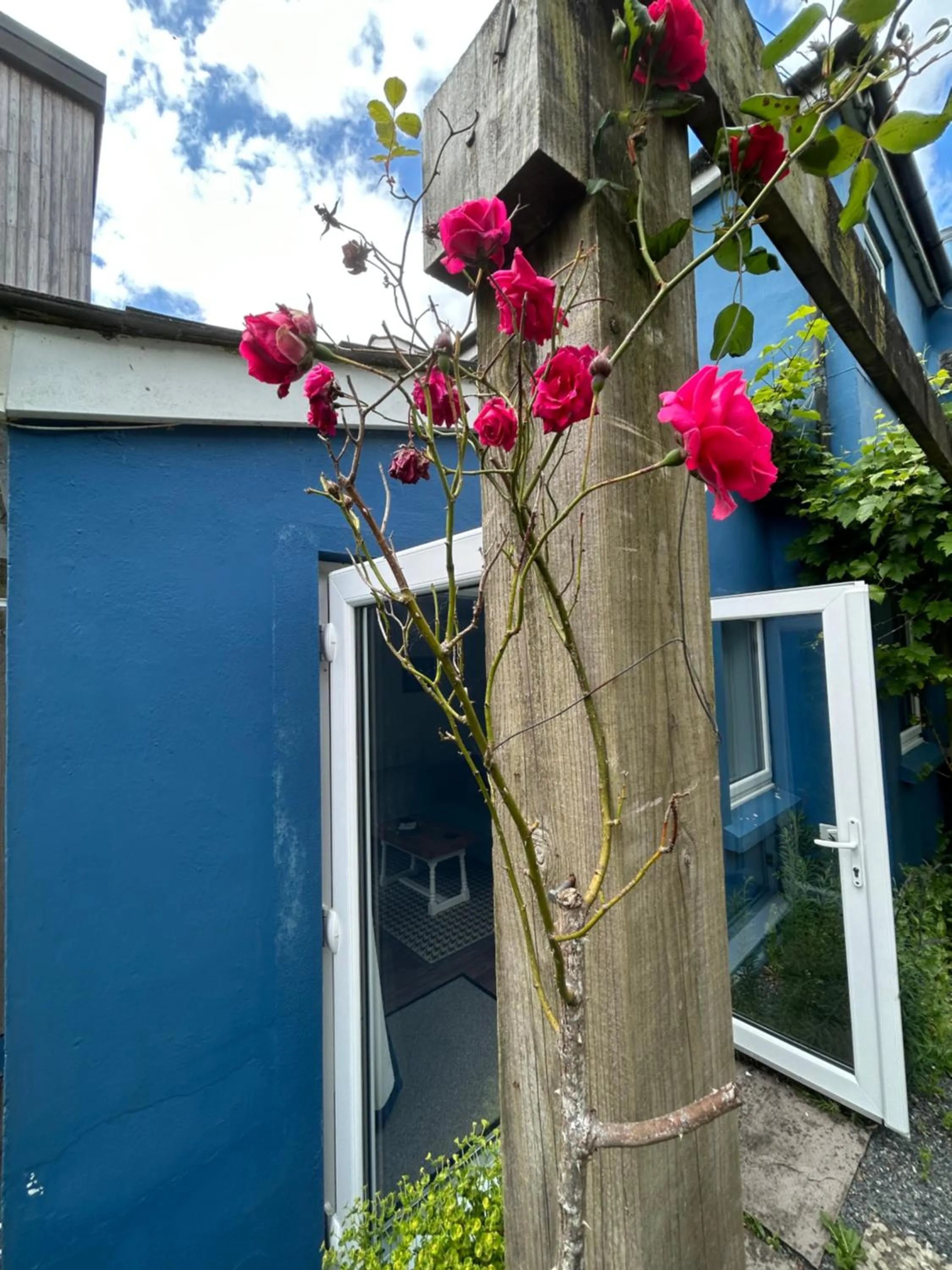 Spring in Trengilly Wartha Inn