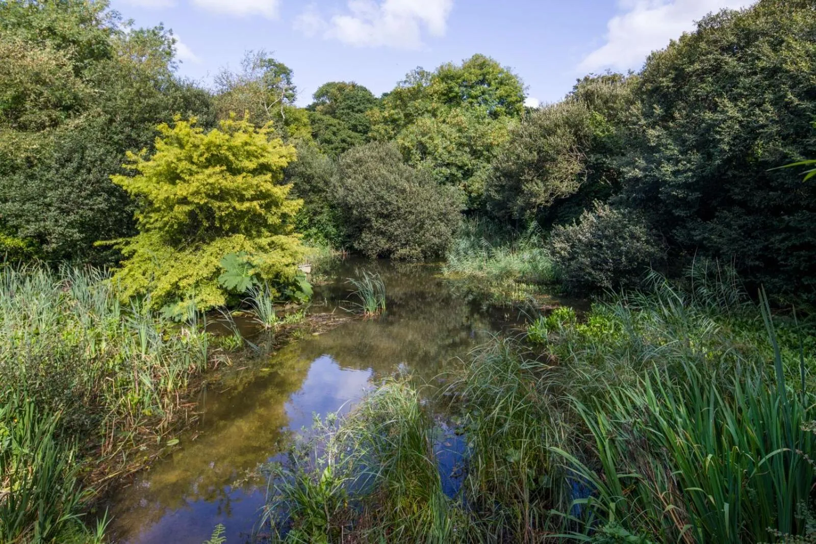 Spring in Trengilly Wartha Inn