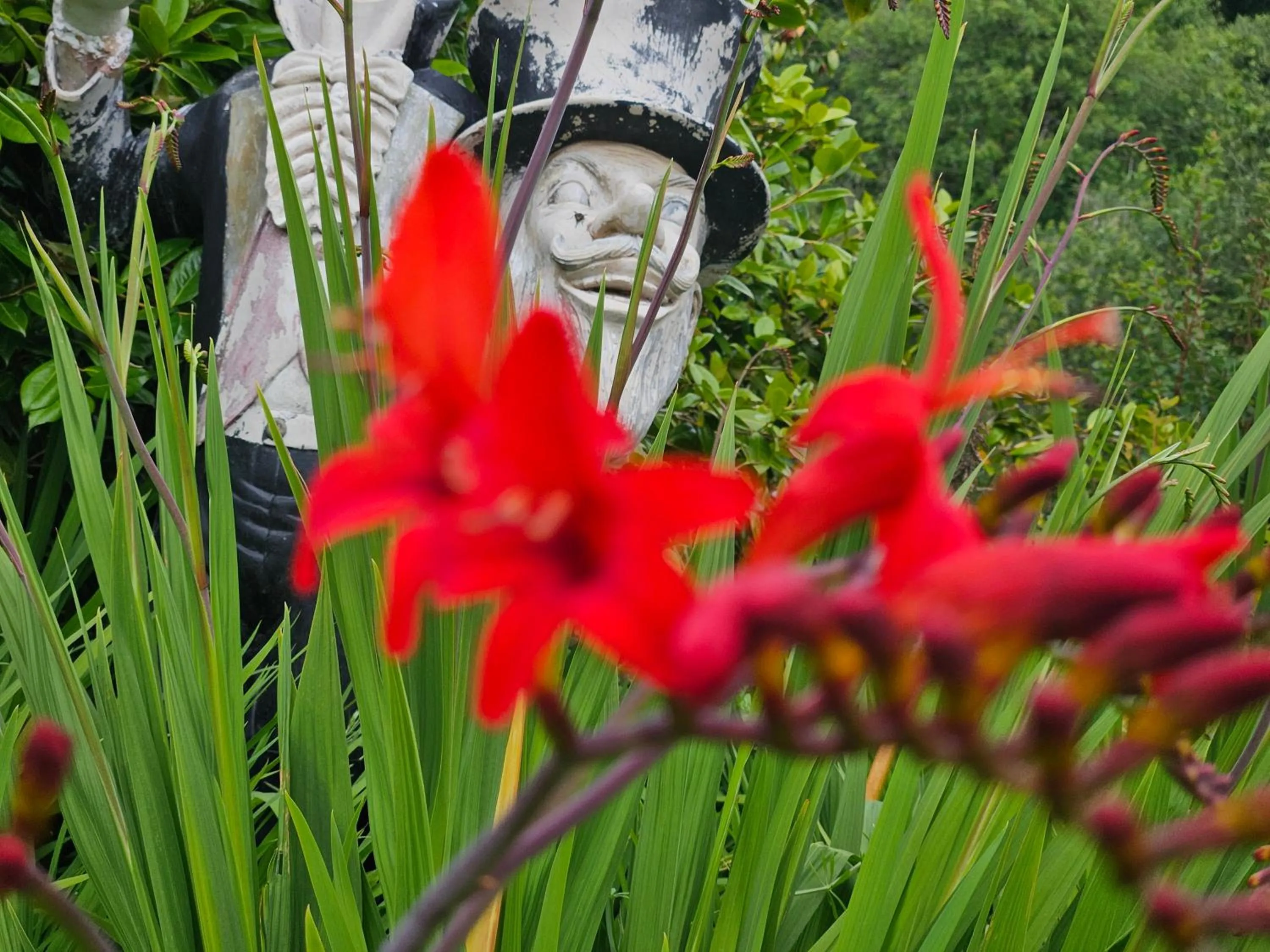 Natural landscape in Trengilly Wartha Inn