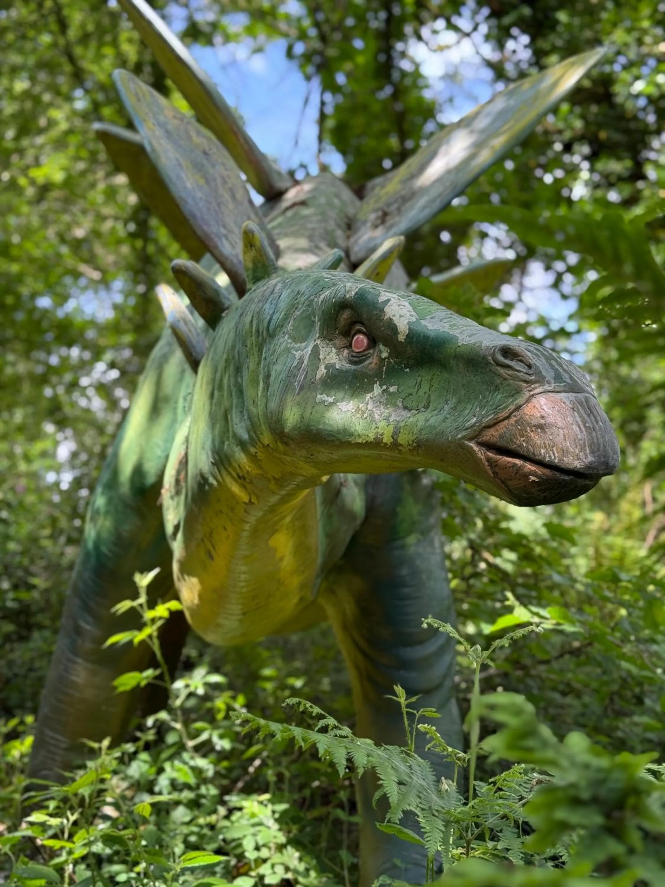 Natural landscape in Trengilly Wartha Inn