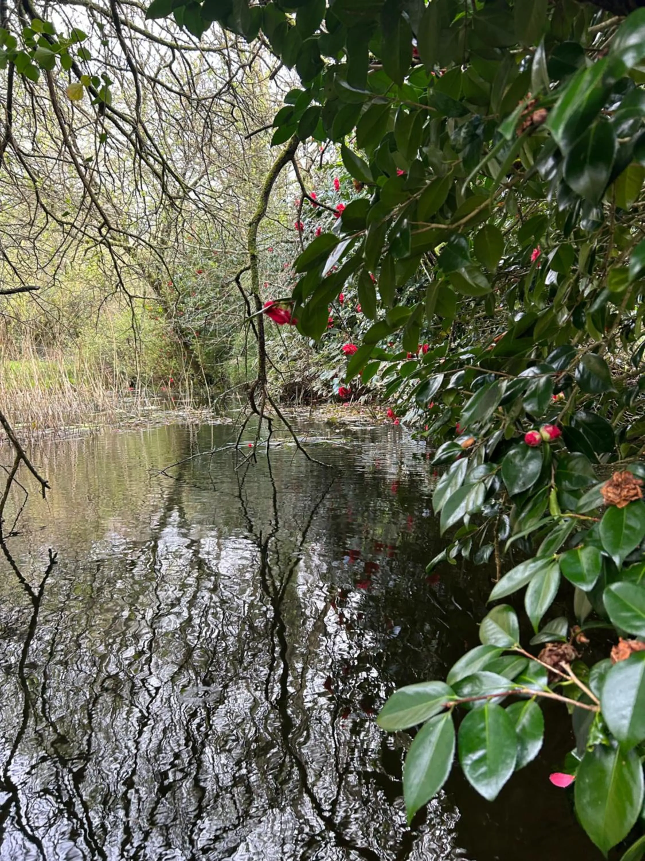 Spring in Trengilly Wartha Inn