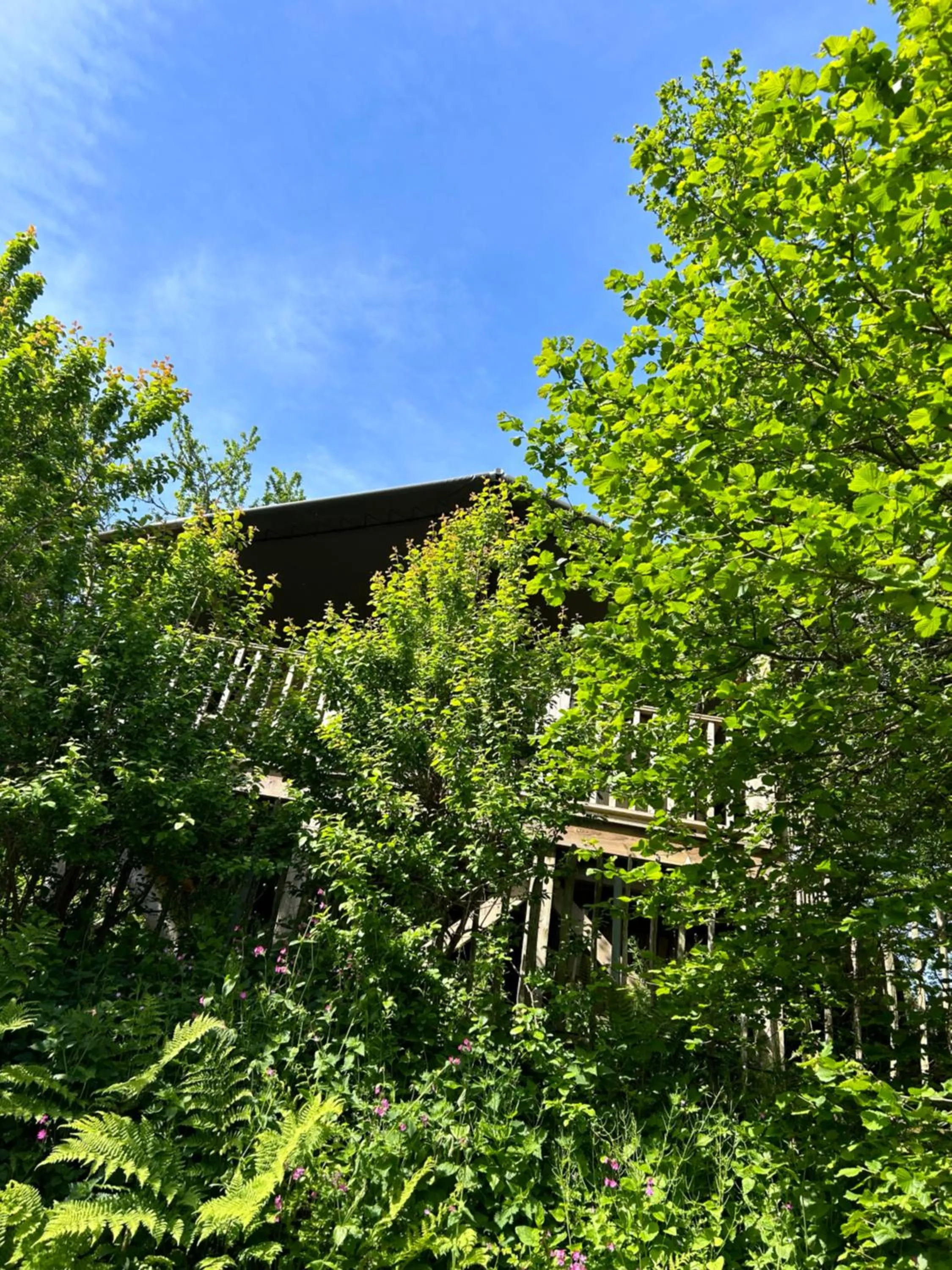 Spring in Trengilly Wartha Inn