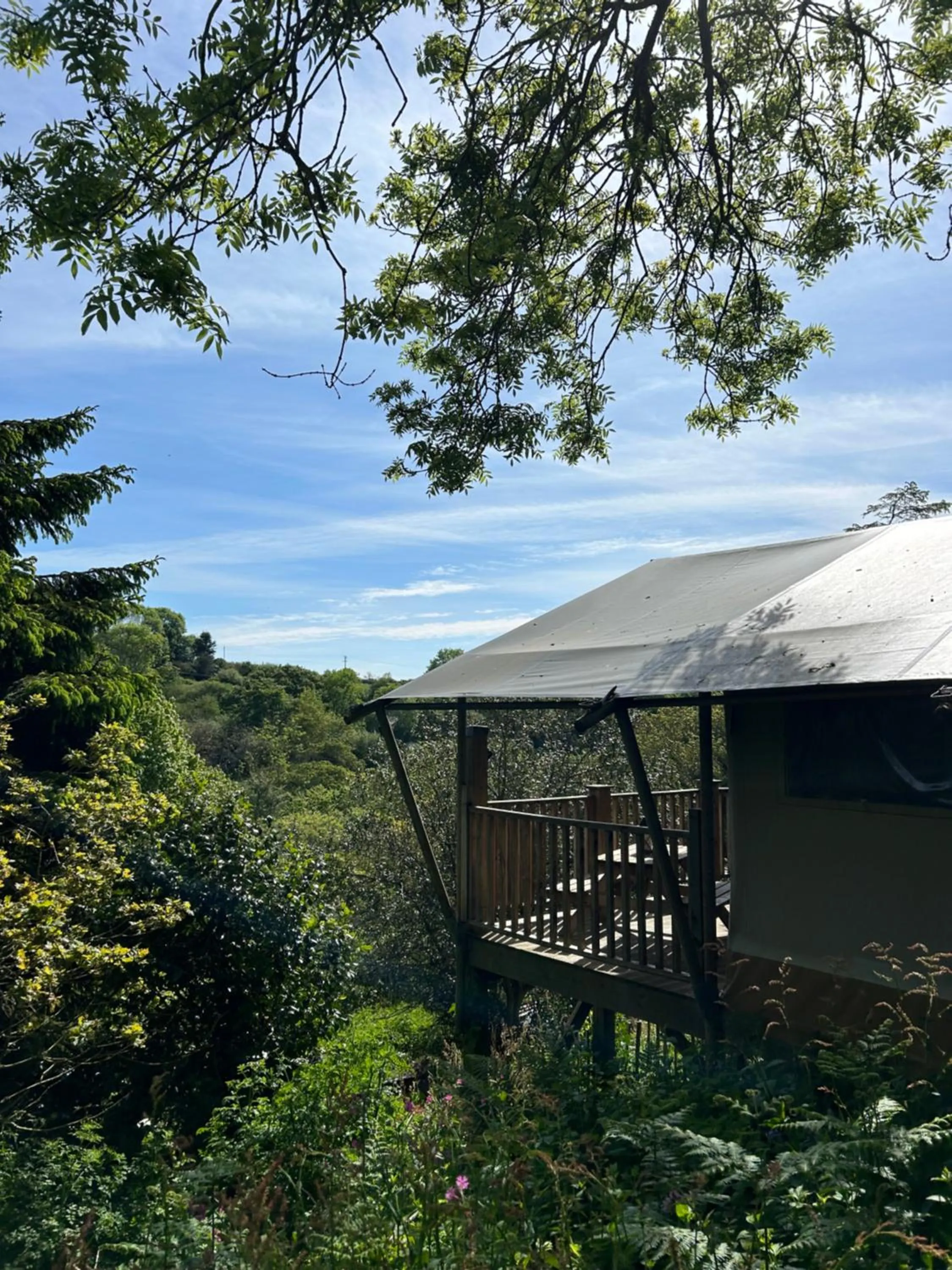 Spring in Trengilly Wartha Inn