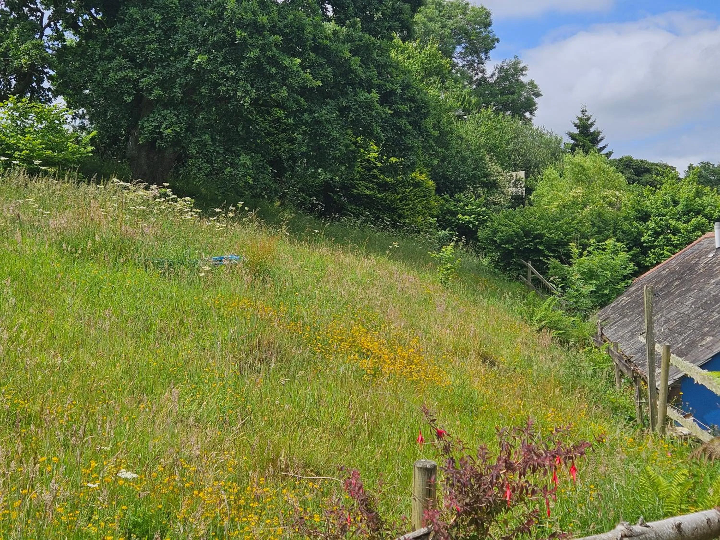 Garden view in Trengilly Wartha Inn