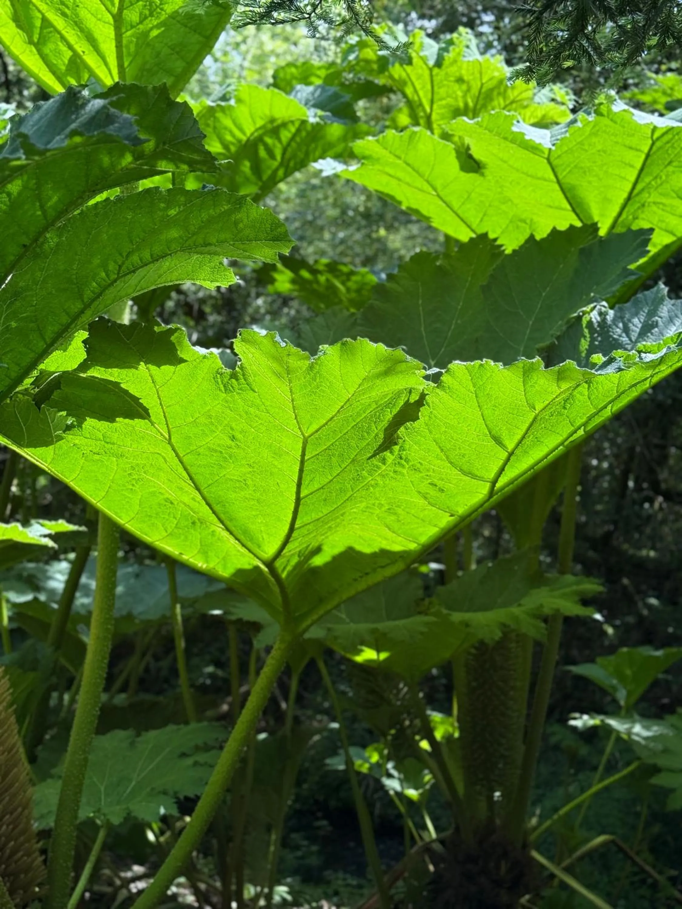 Natural landscape in Trengilly Wartha Inn