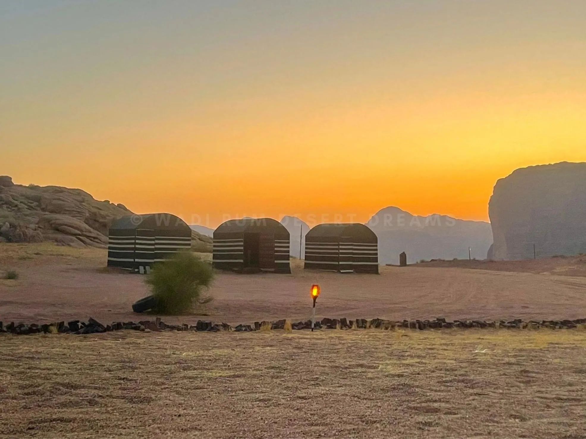Garden in Wadi Rum Desert Dreams