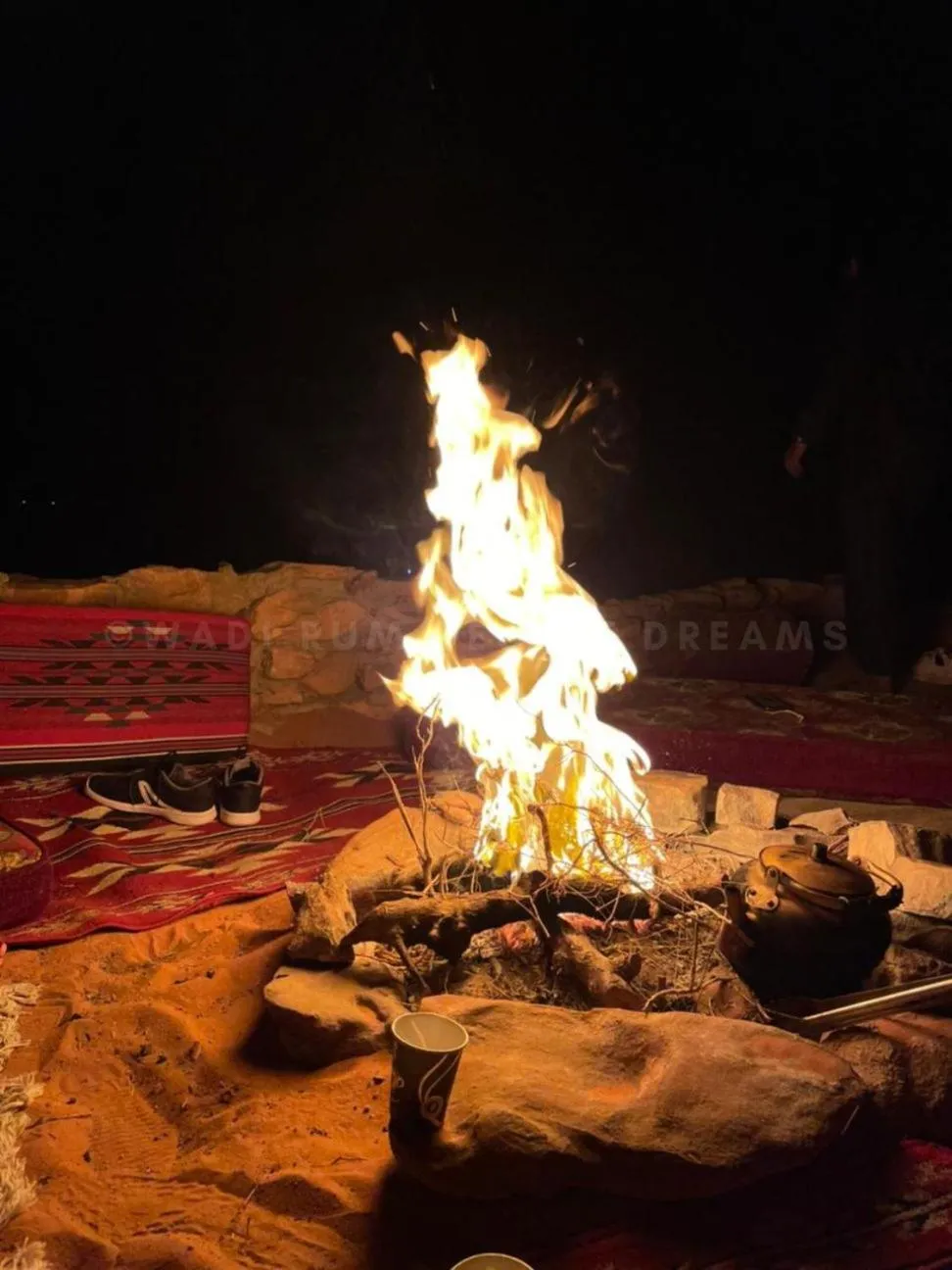 Night in Wadi Rum Desert Dreams