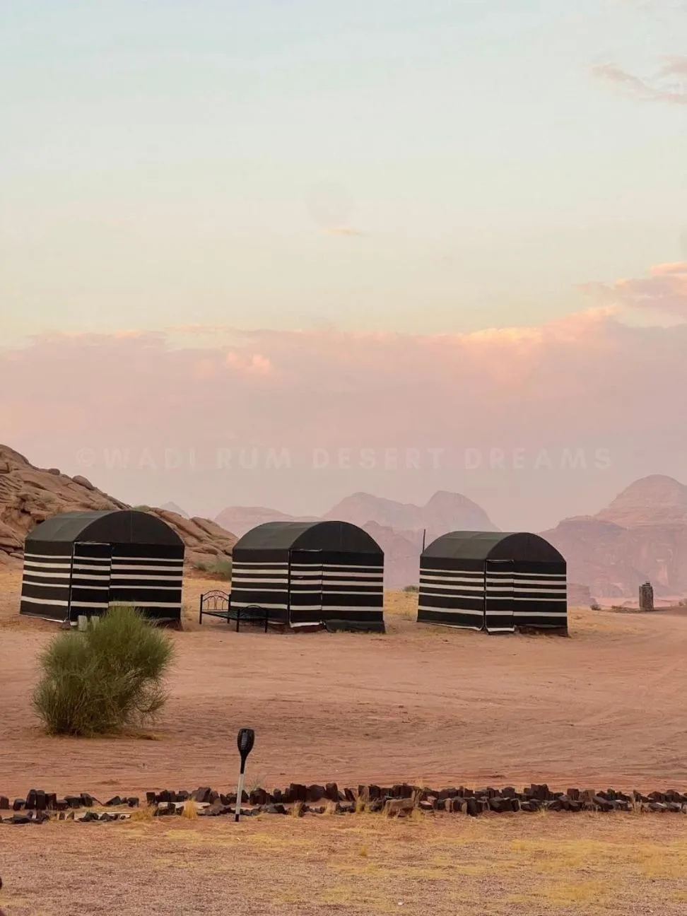 Garden in Wadi Rum Desert Dreams