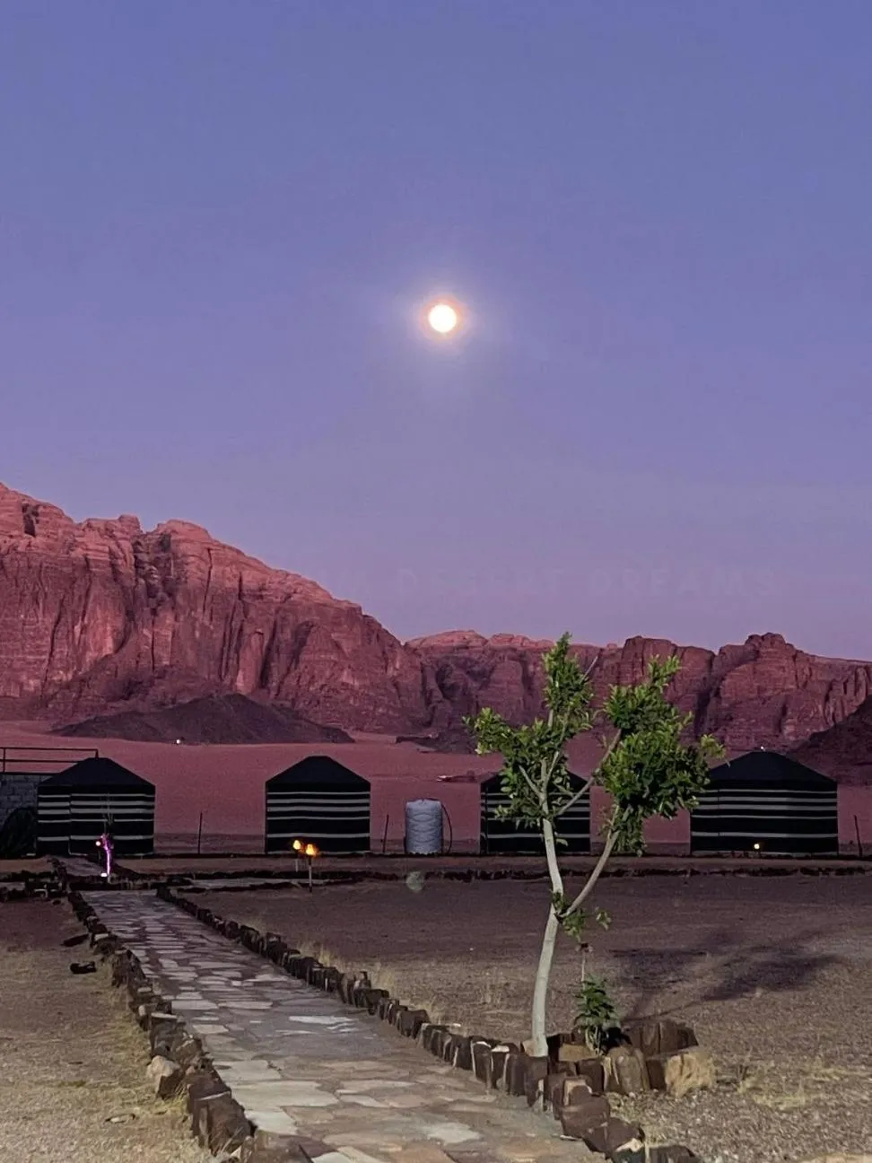 Property building in Wadi Rum Desert Dreams