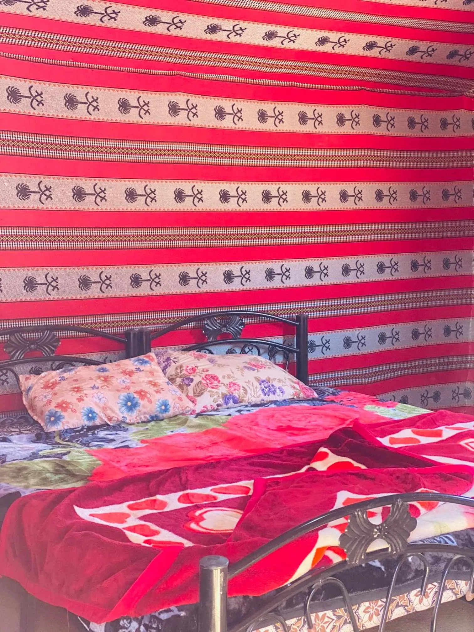 Property building in Wadi Rum Desert Dreams