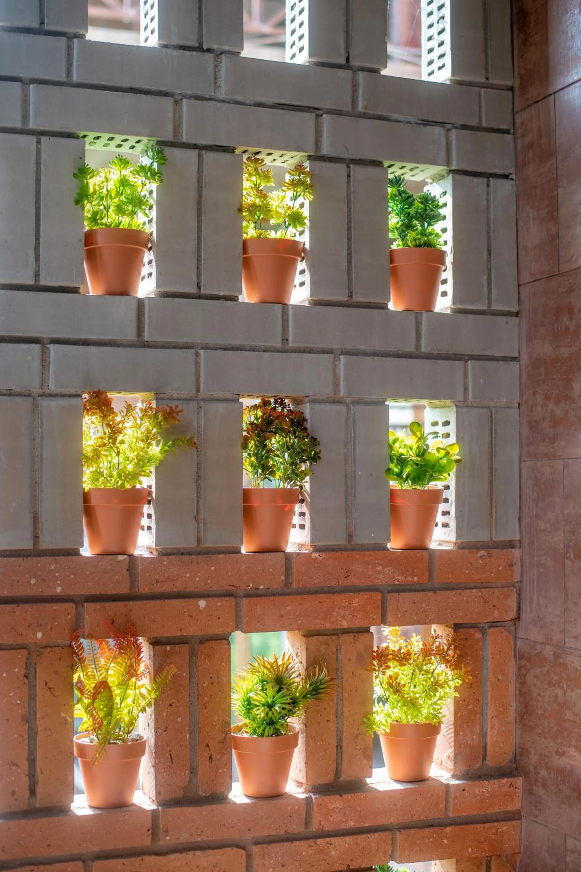 Garden view in Sandali Metekhi Boutique Hotel