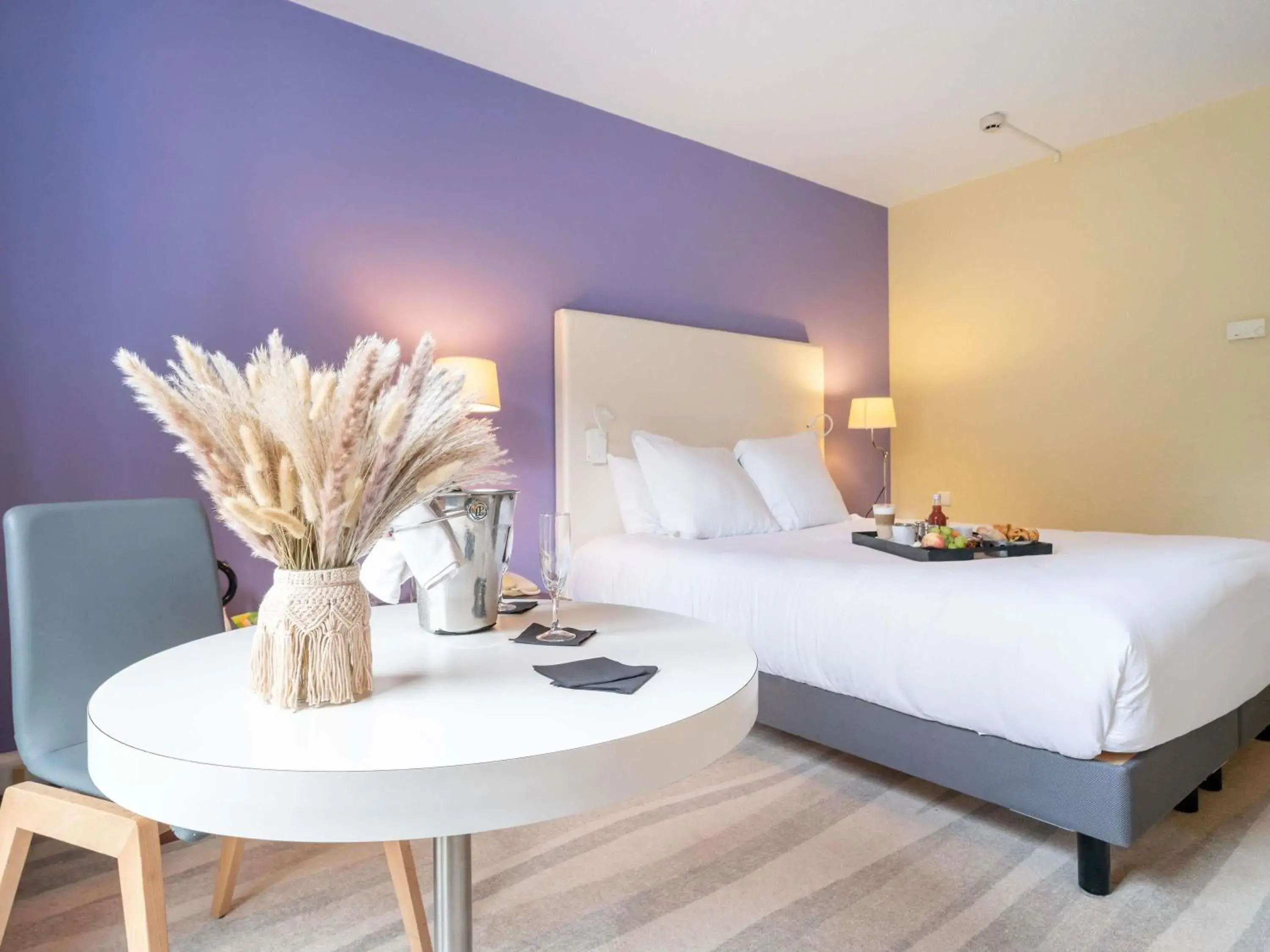 Standard Double Room in Mercure Antibes Sophia Antipolis Standard Double Room in Mercure Antibes Sophia Antipolis
