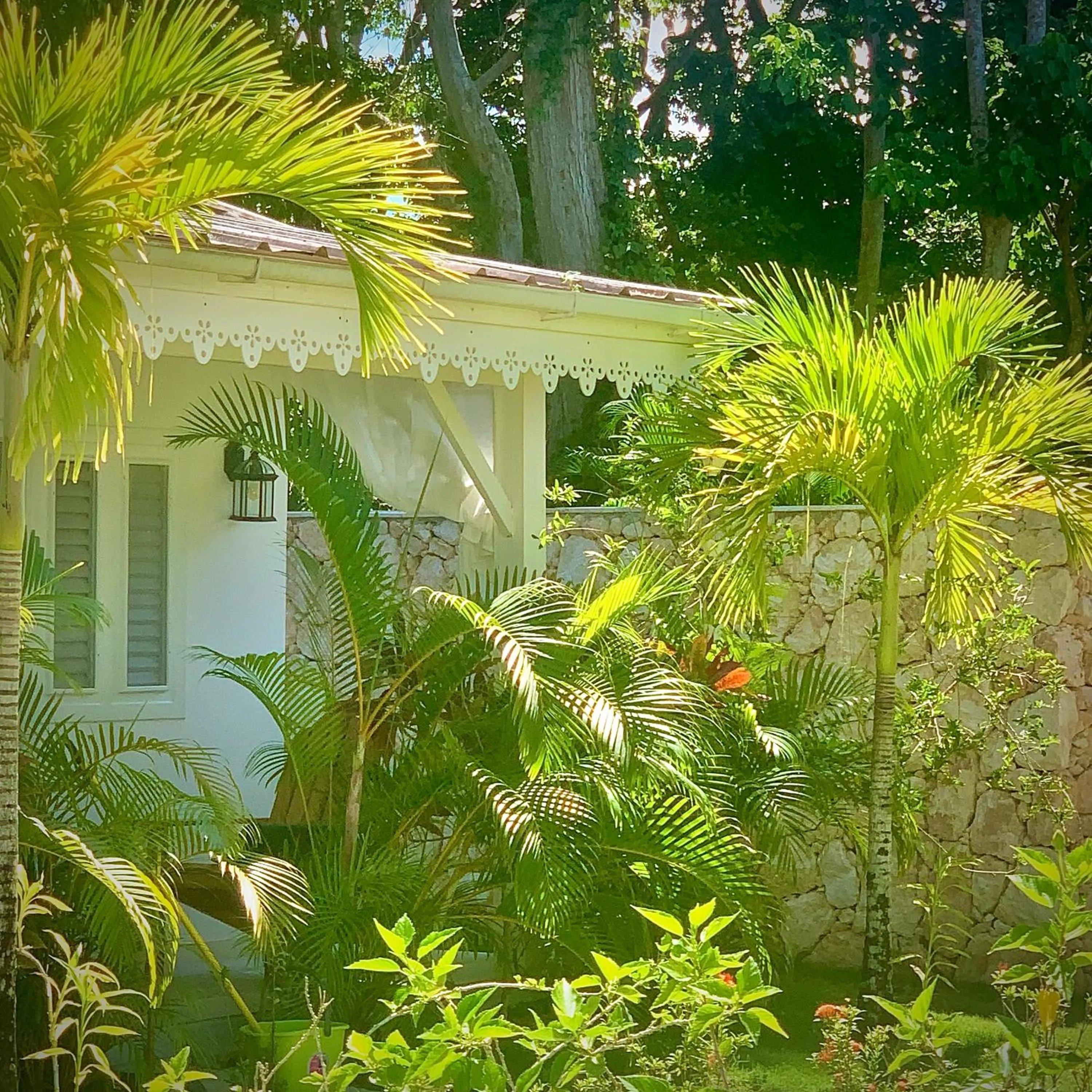 Garden view in PUNTA POPY BOUTIQUE HOTEL - Adults Only