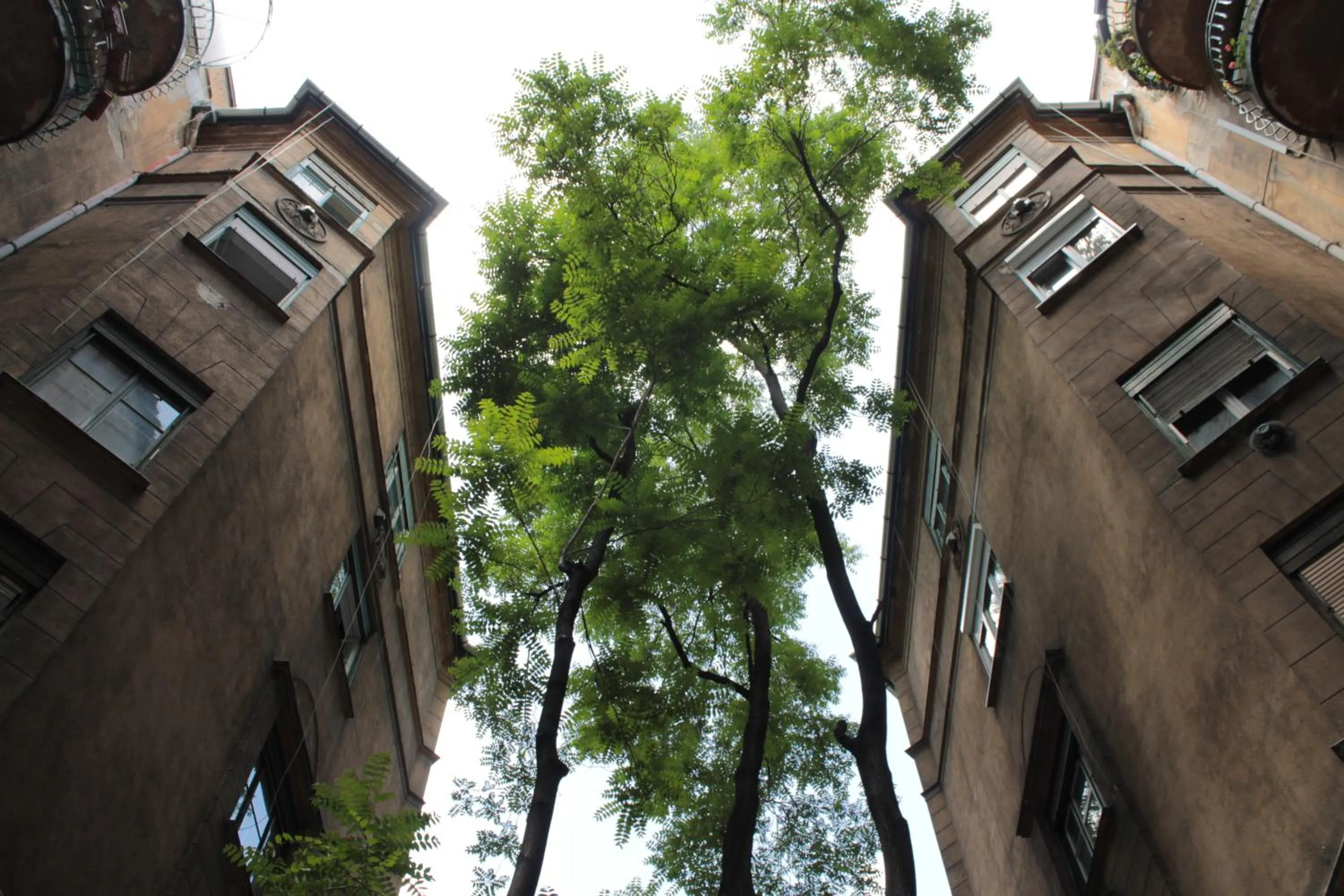 Facade/entrance in Fanni Budapest Guesthouse