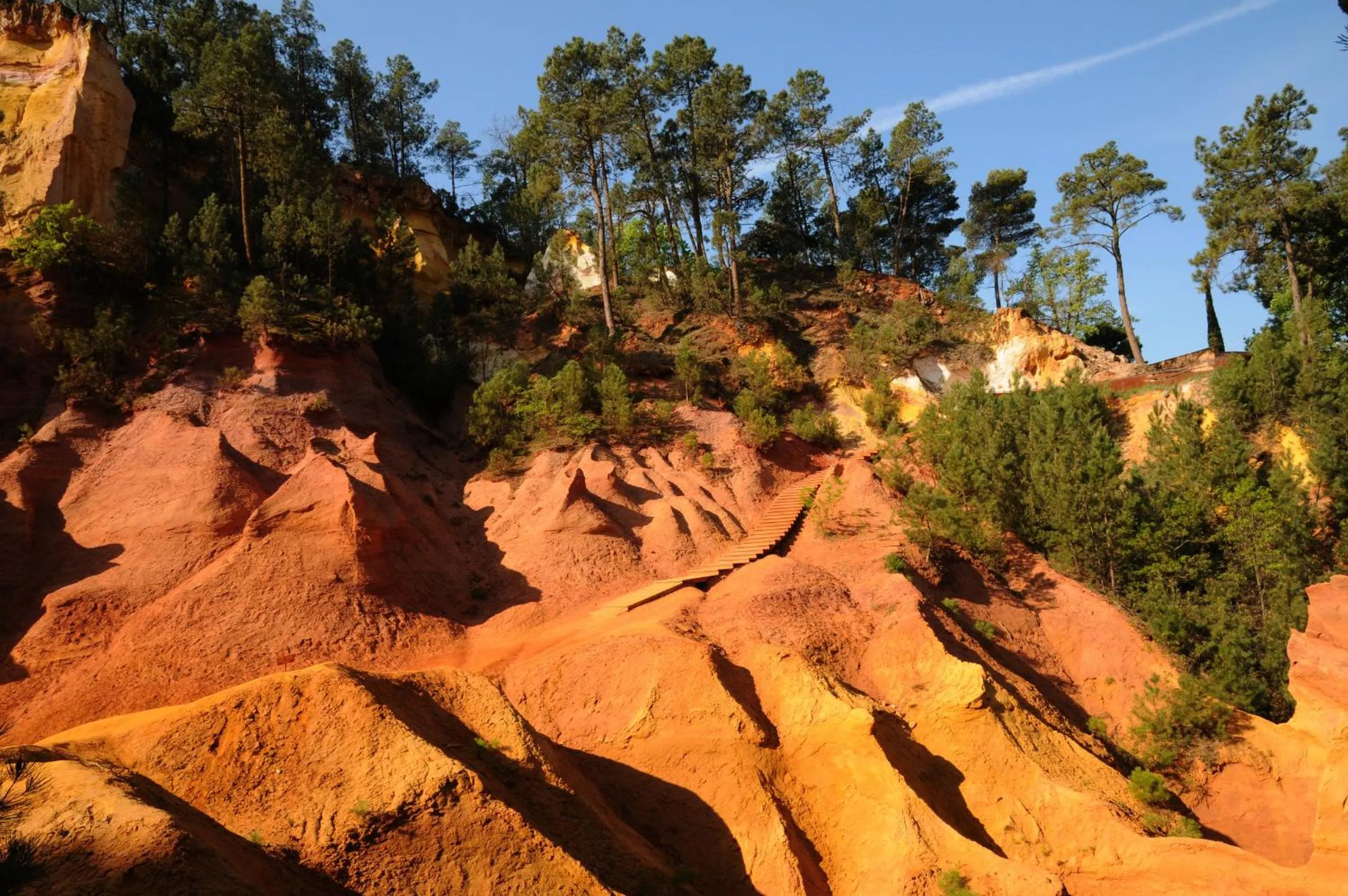 Area and facilities in Mercure Cavaillon