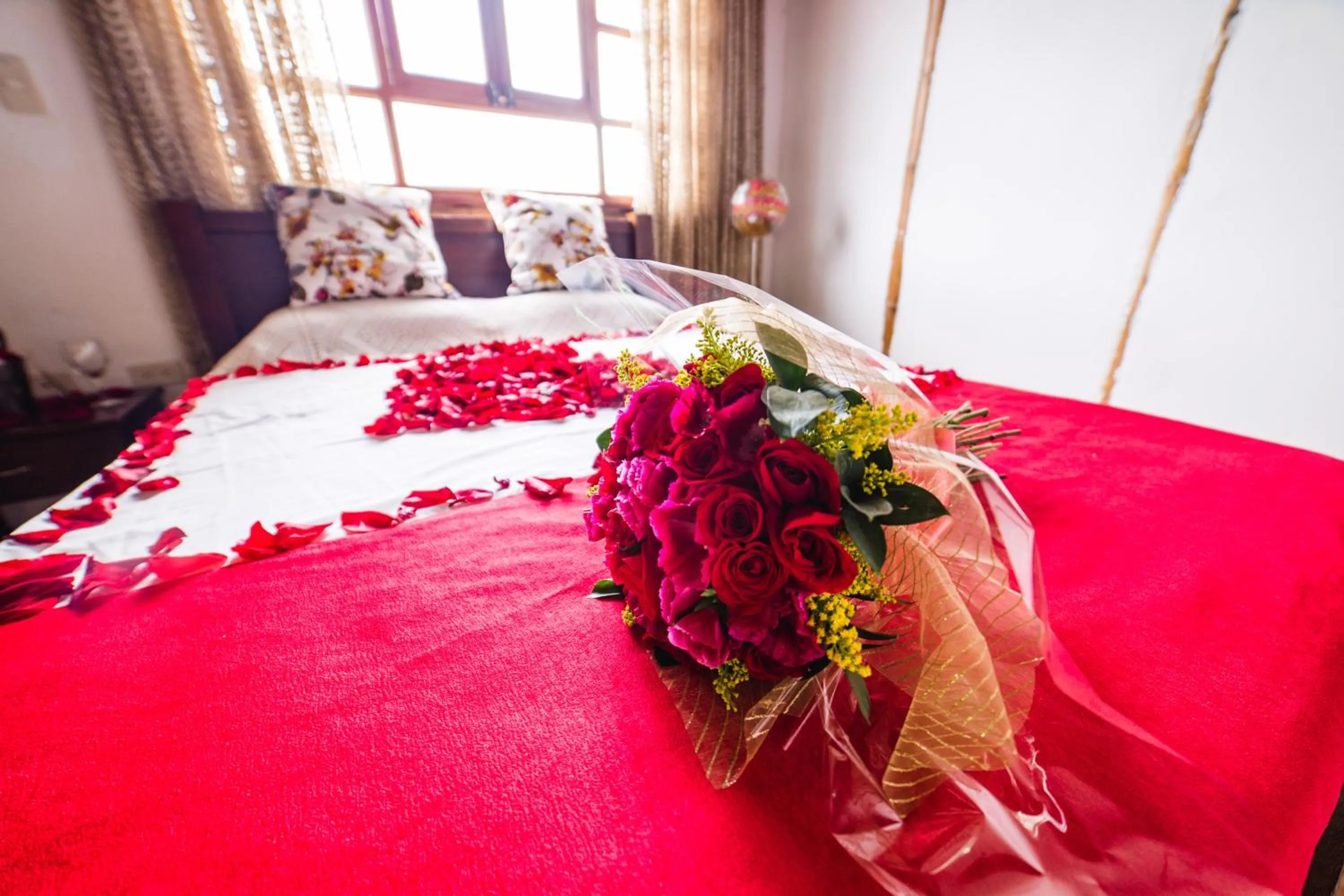 Breakfast, Bed in Eco Hotel las Palmas