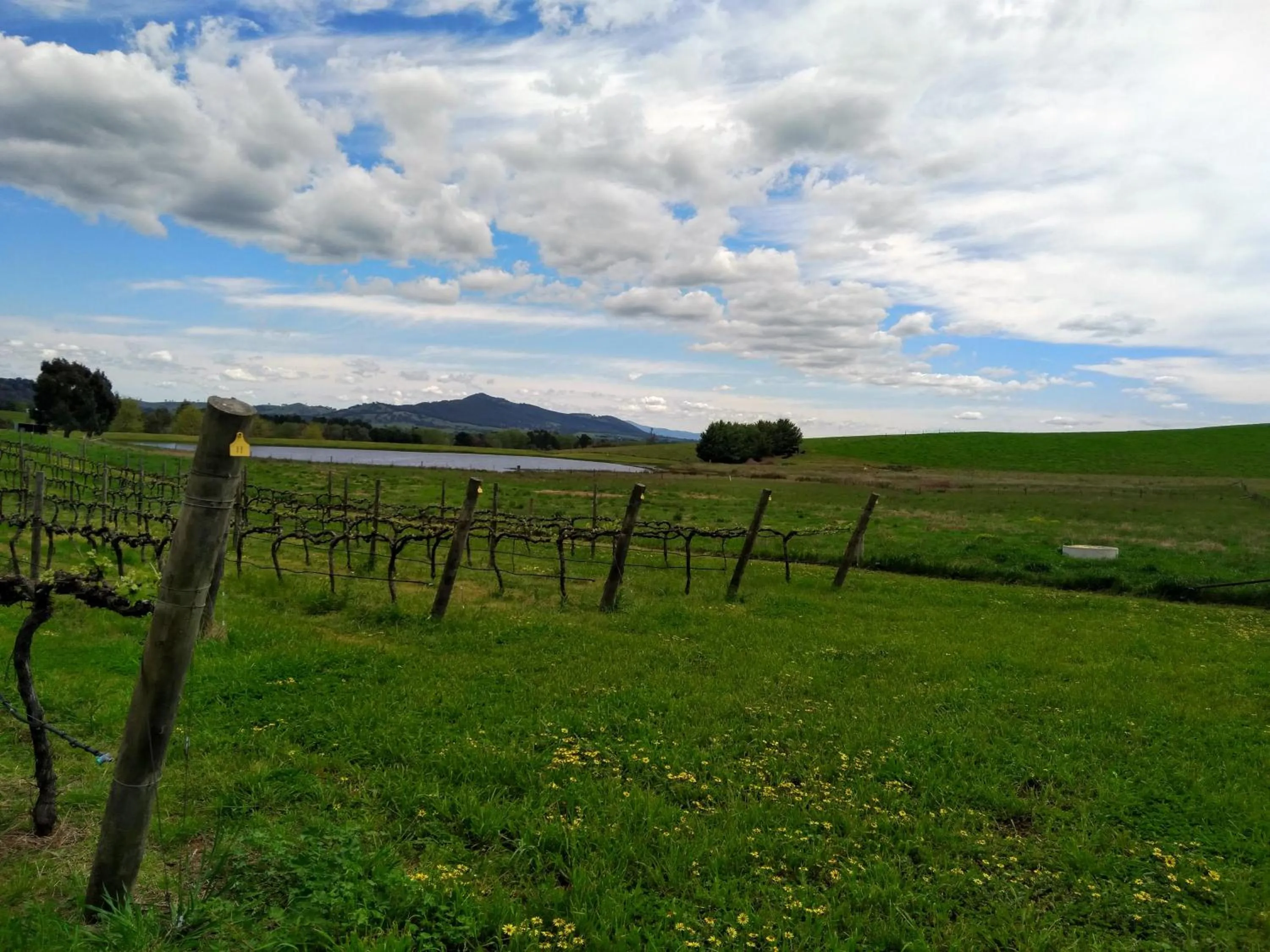 Natural landscape in Altitude221