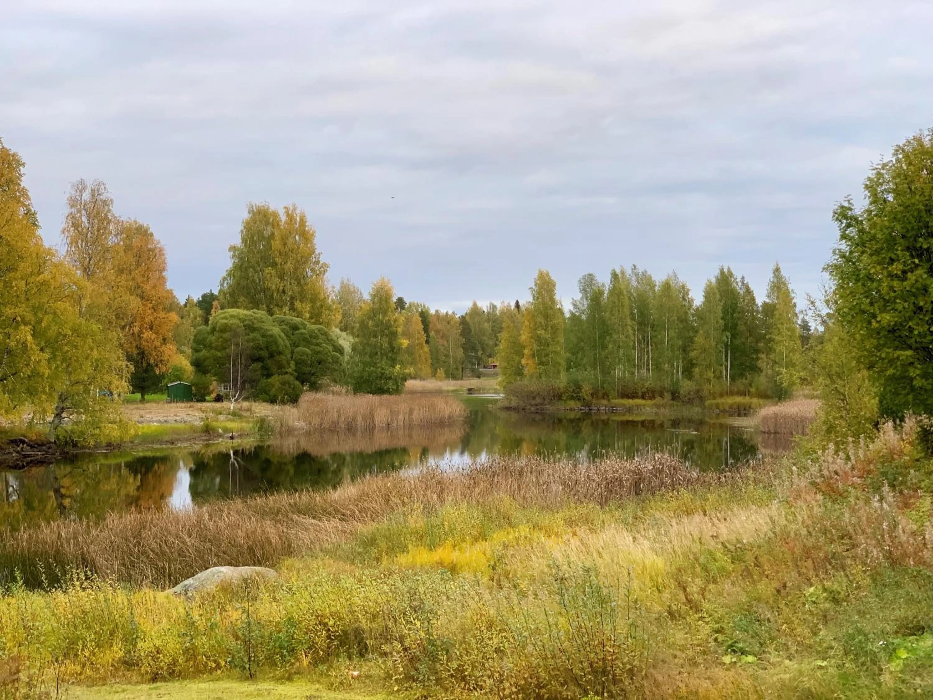 Natural landscape in Koto Hotel Pihtipudas