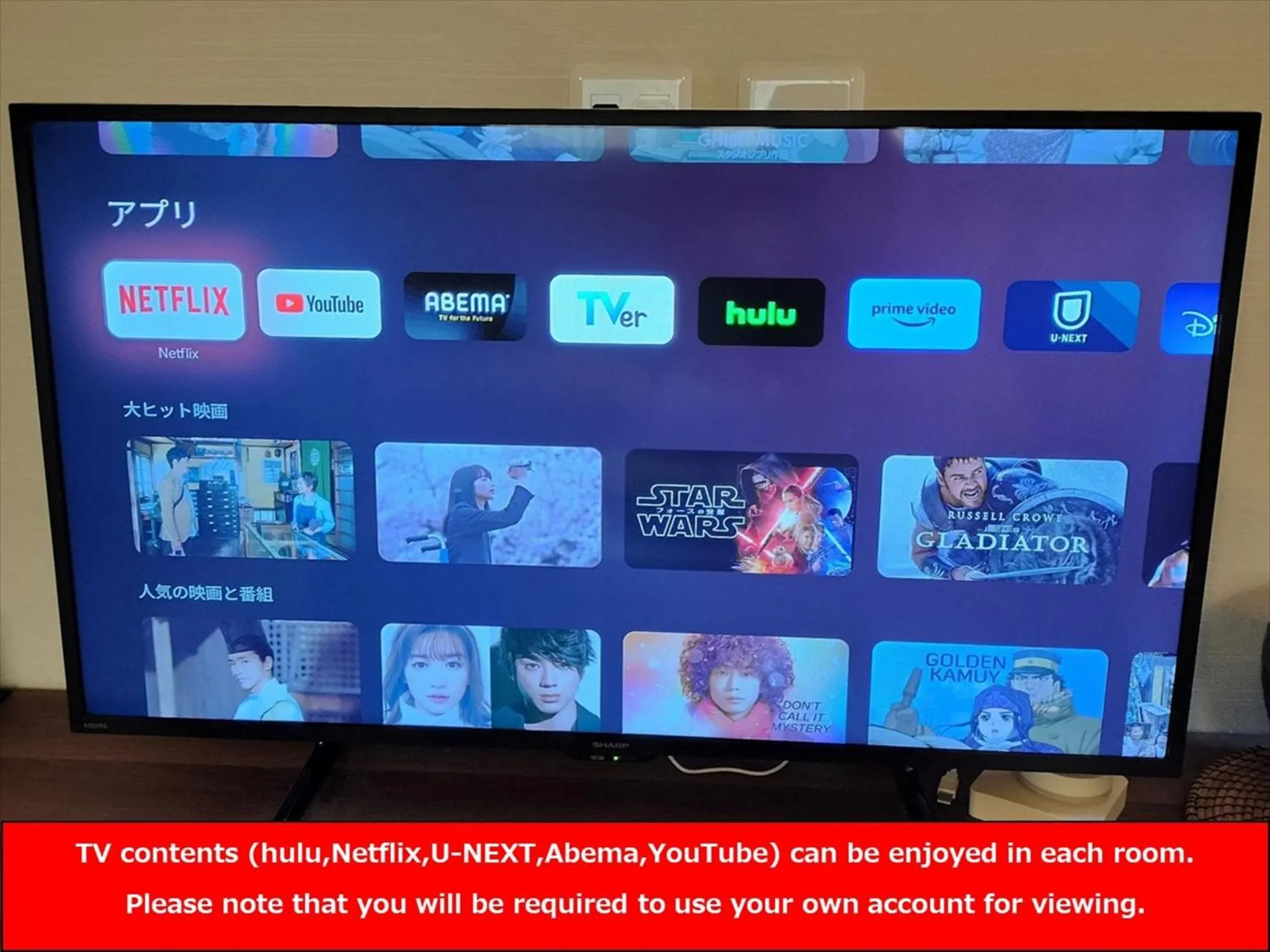 TV and multimedia in YADOYA Uguisu