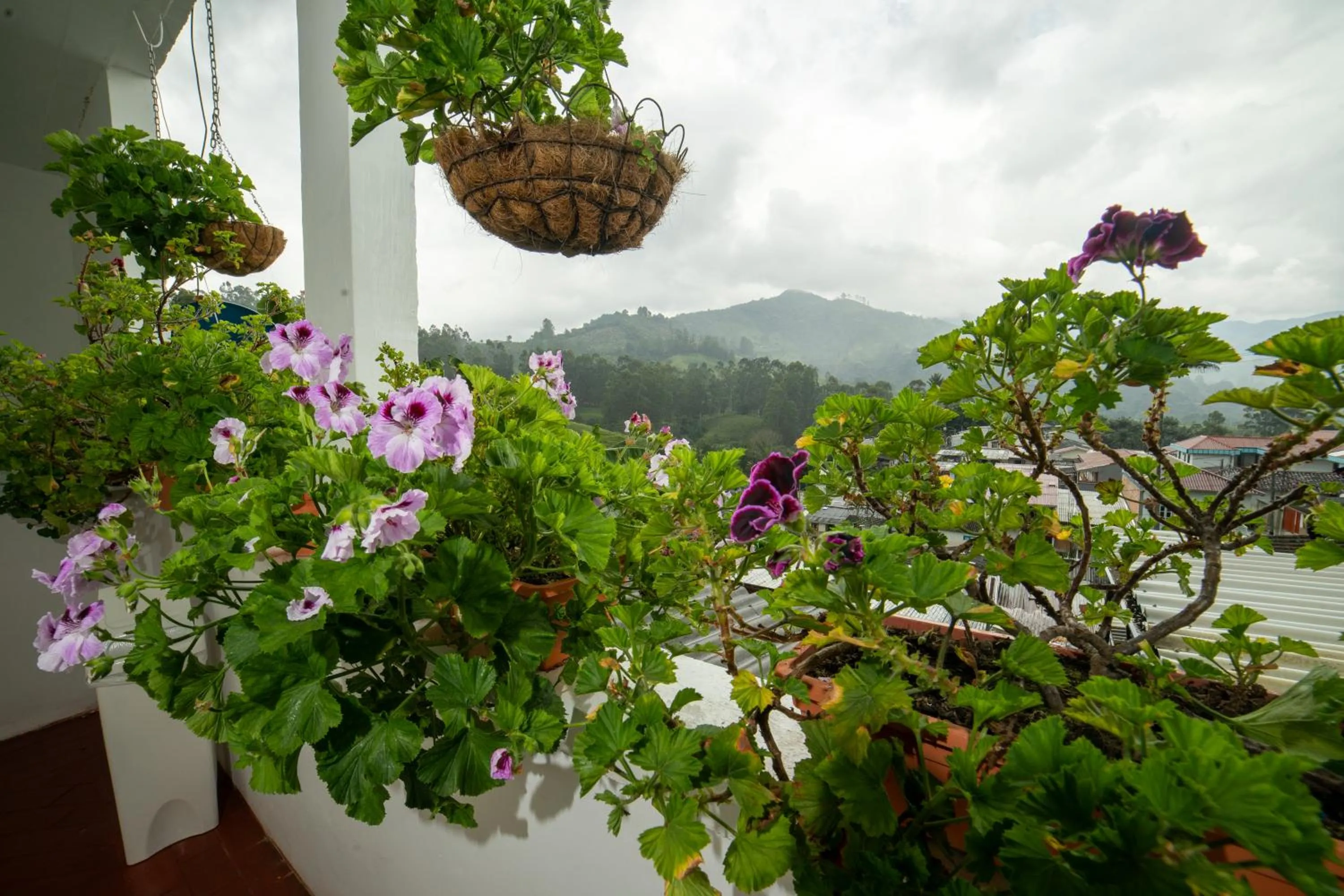 Day in Posada del Angel