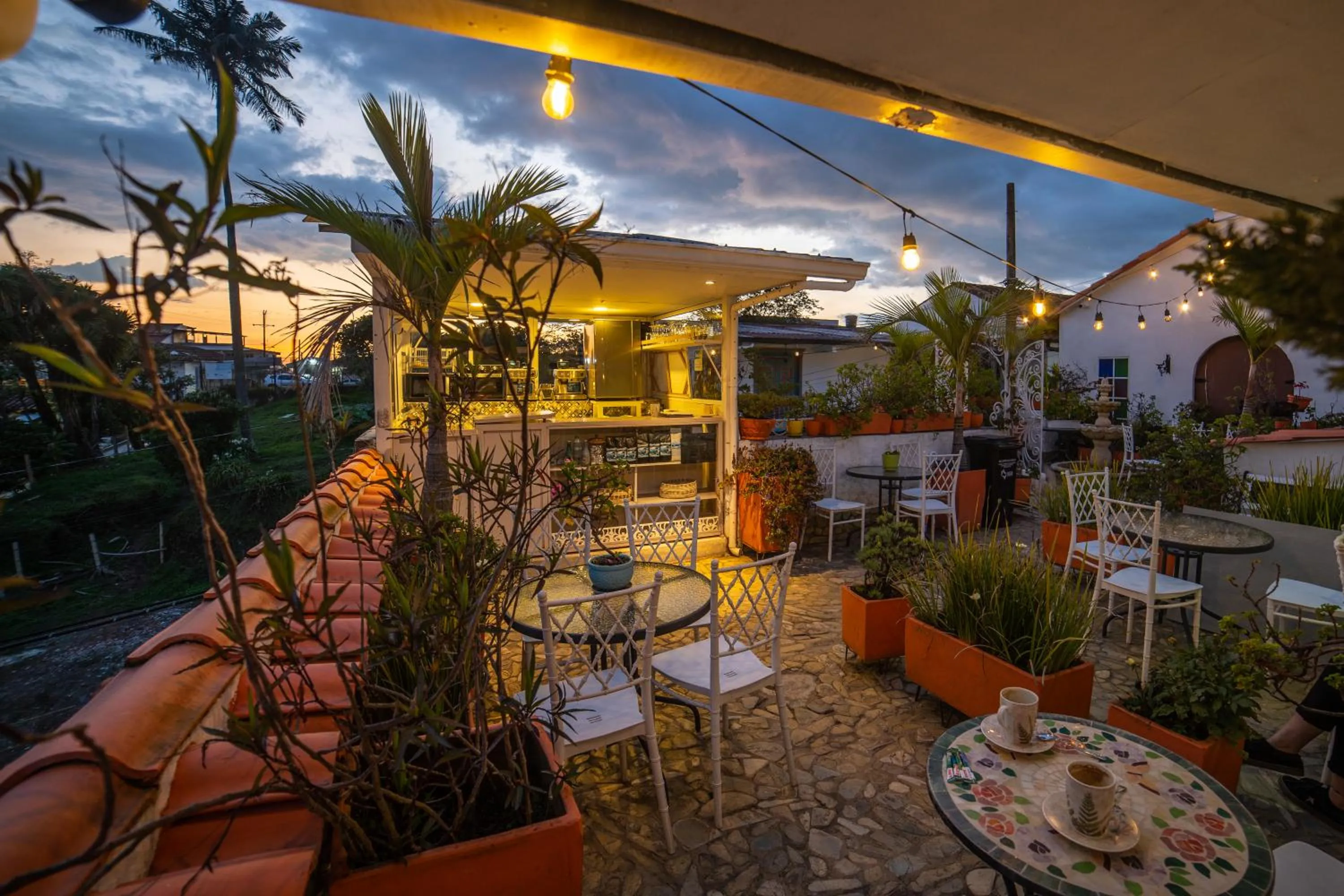 Garden in Posada del Angel