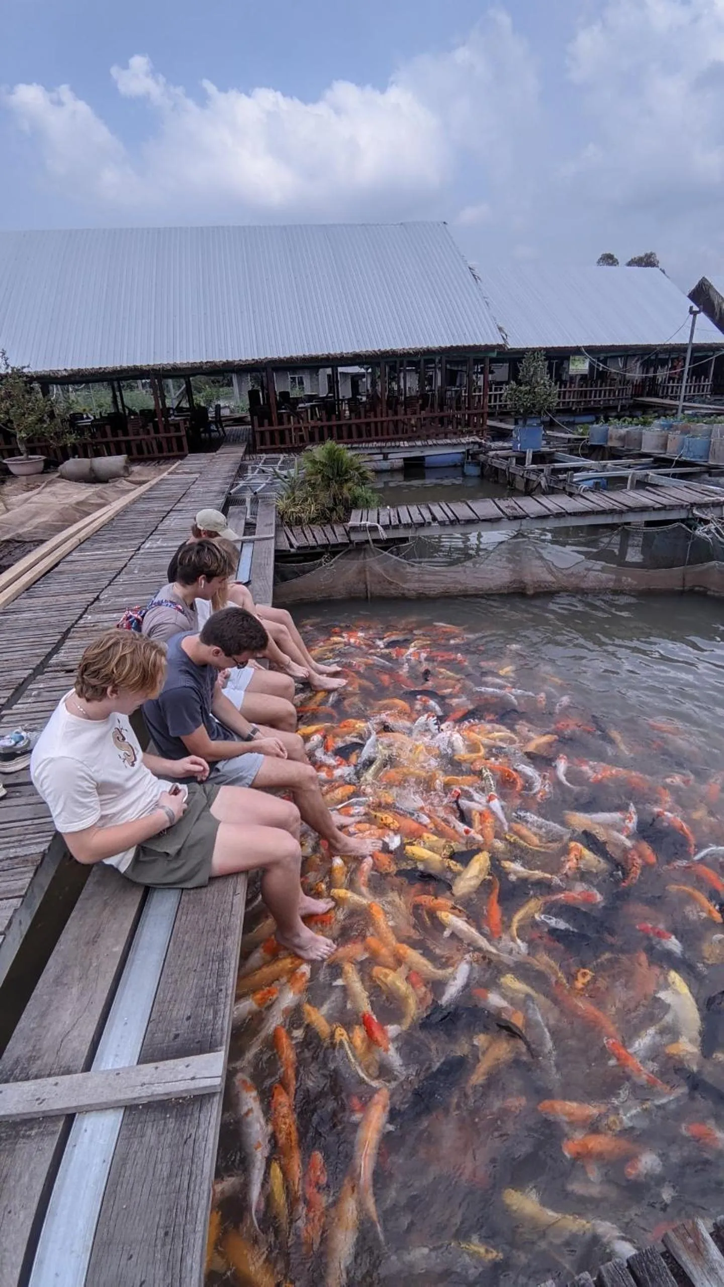 Activities in Adora Central Park Hostel