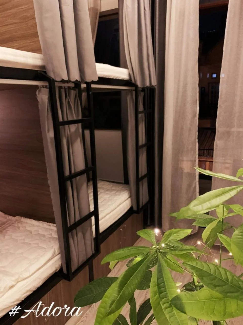 bunk bed, Bed in Adora Central Park Hostel