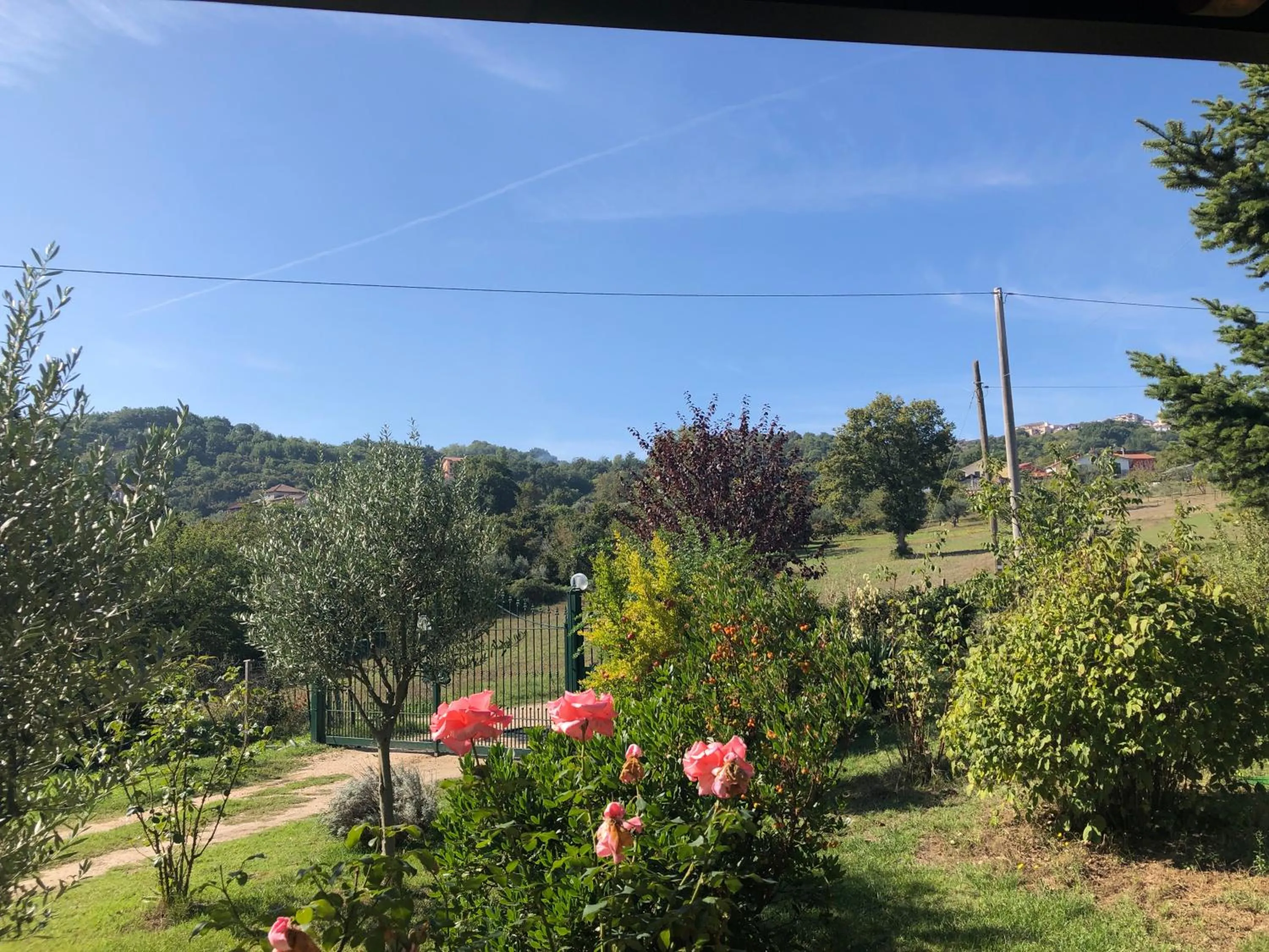 Garden in Villa Cristal