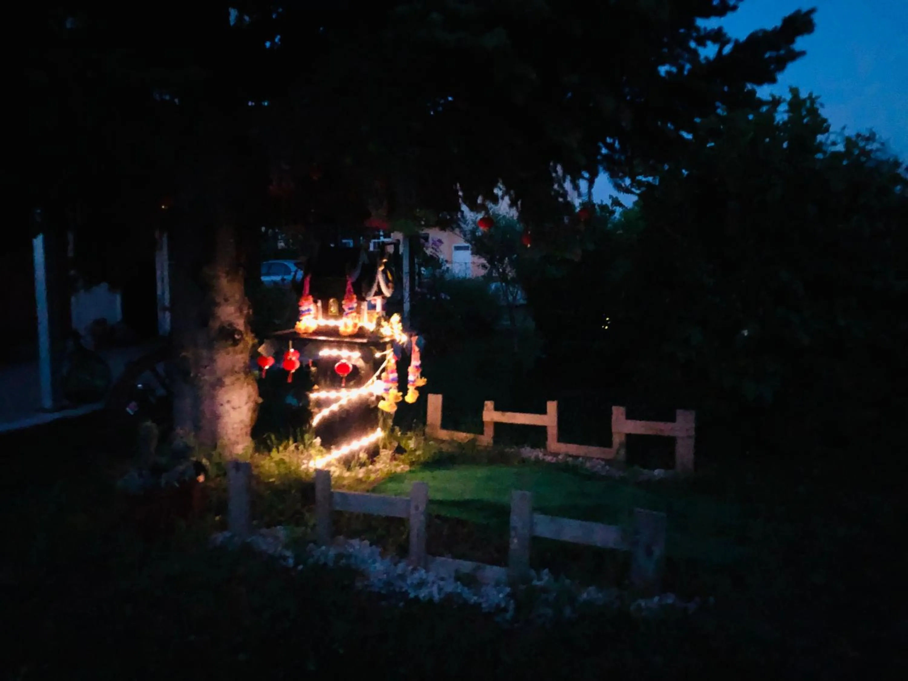 Garden in Villa Cristal