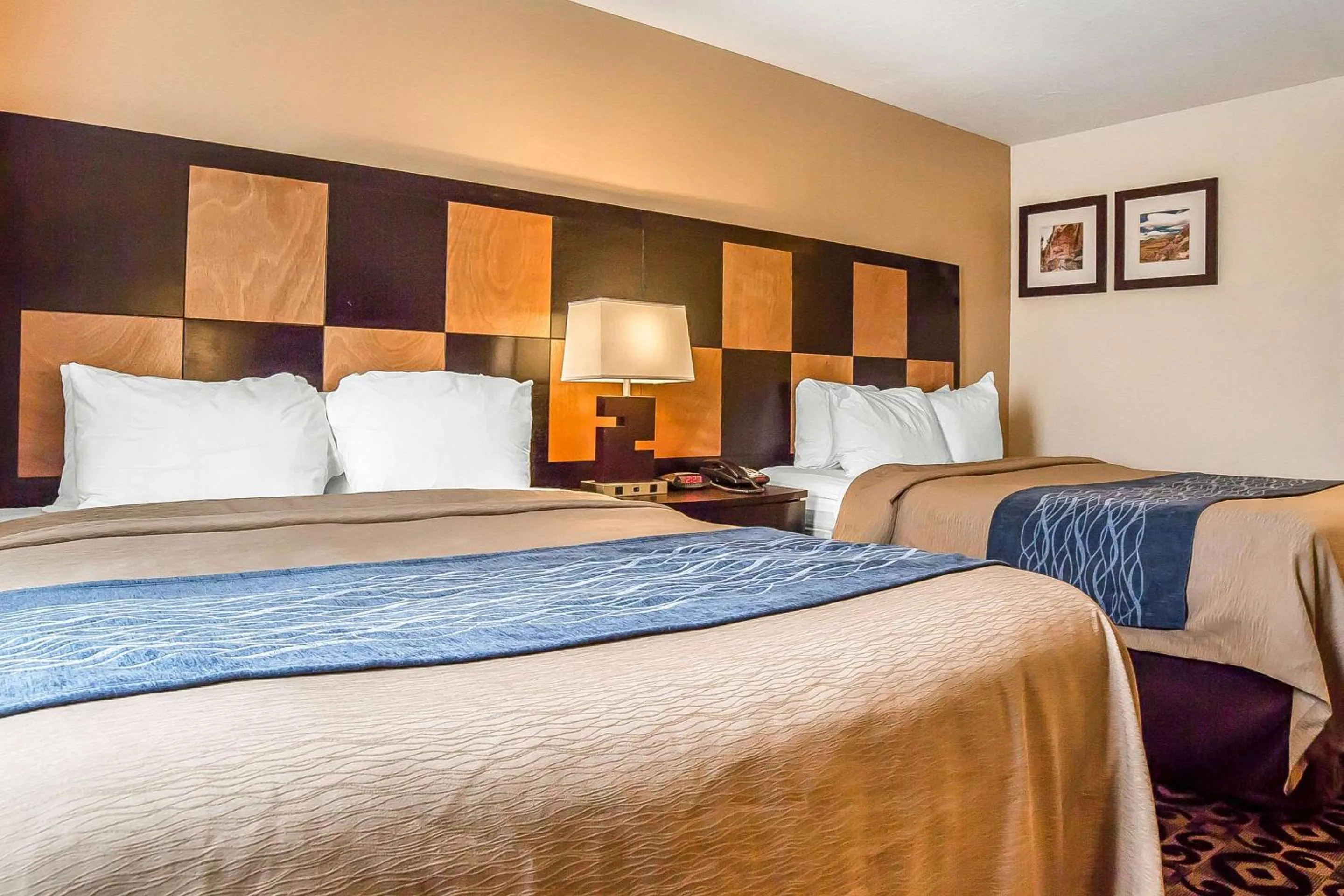 Bedroom, Bed in Comfort Inn Ballard-Roosevelt