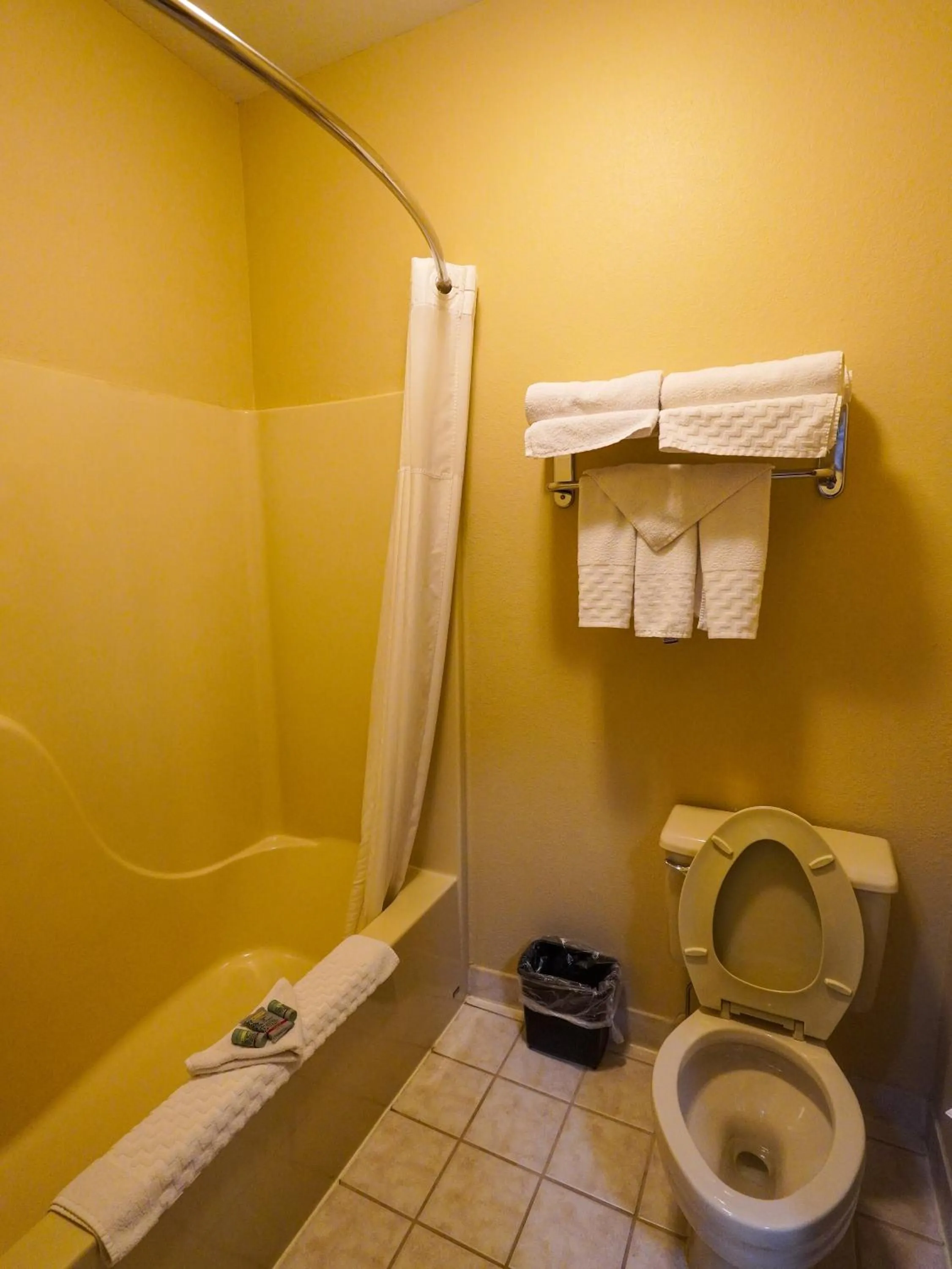 Shower in Best Western Teal Lake Inn