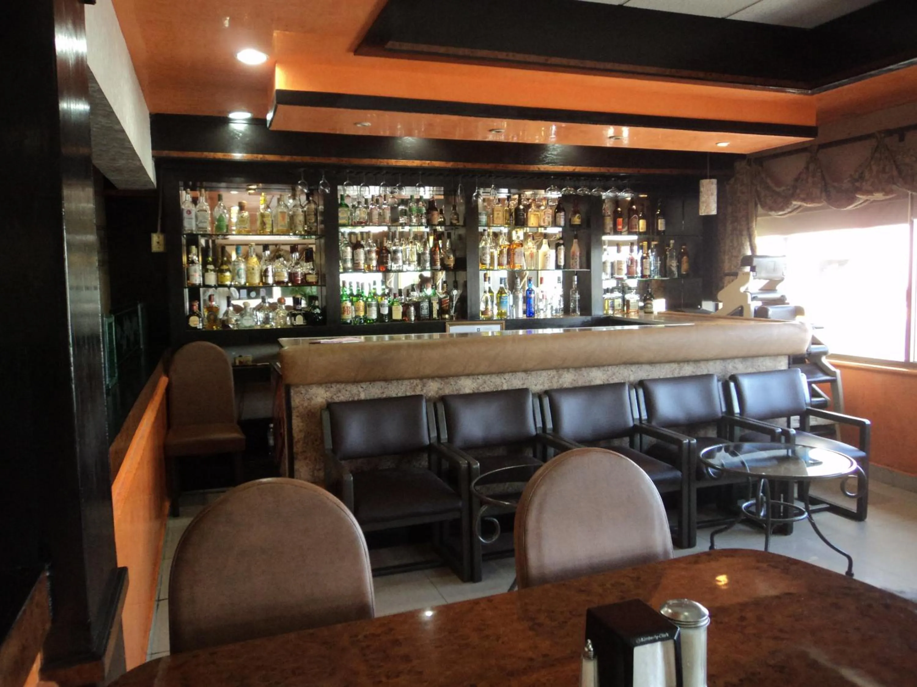 Lounge or bar in Hotel San Martin
