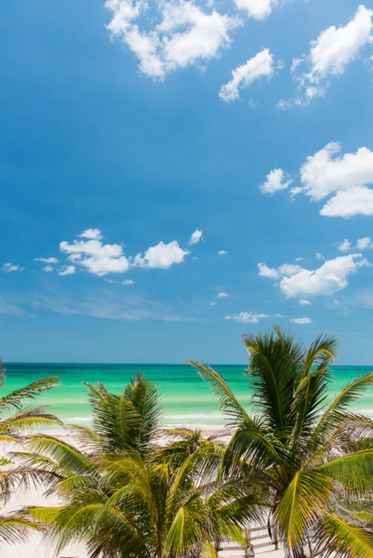 Beachfront Apartment Hacienda del Cuyo