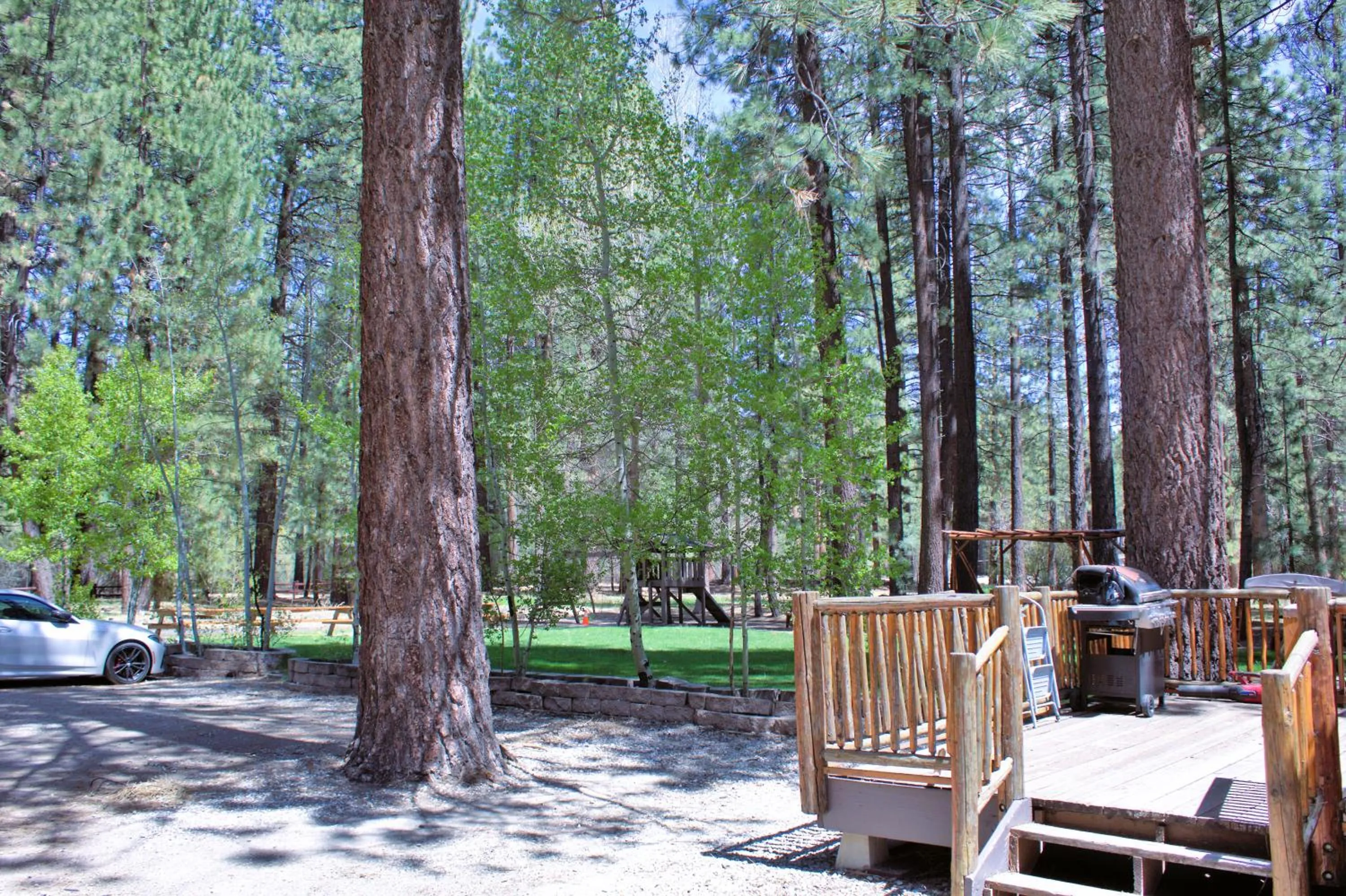 Garden in Goldmine Lodge